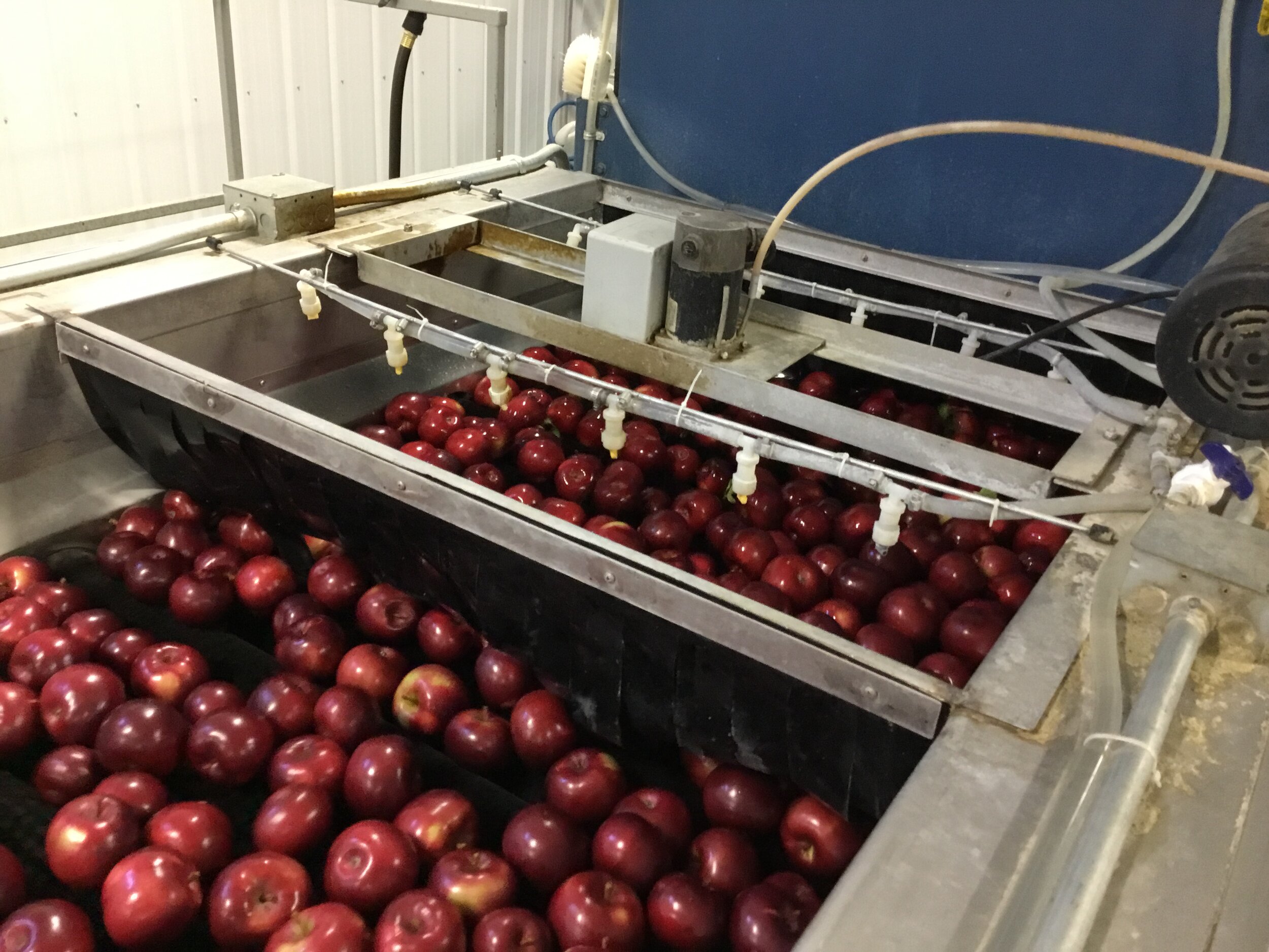 Oakwood Fruit Farm celebrates 115 years — Driftless Now