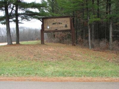  Sauk County Forest   