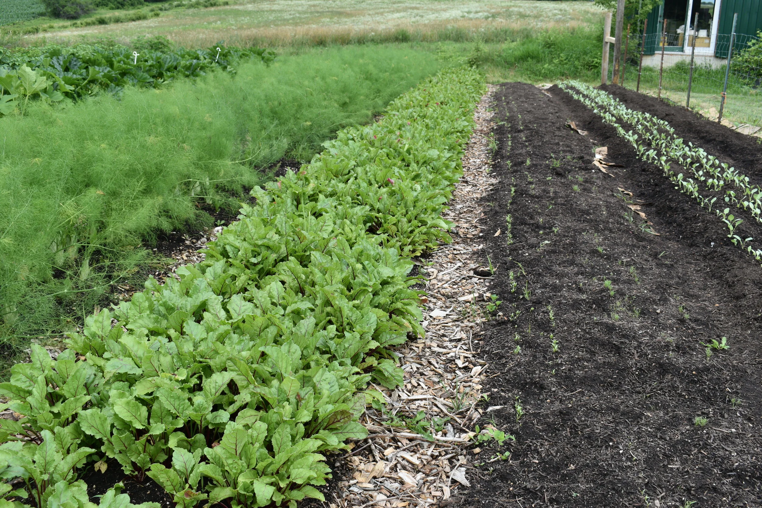 Keewaydin Farms and Driftless Curiosity — Driftless Now