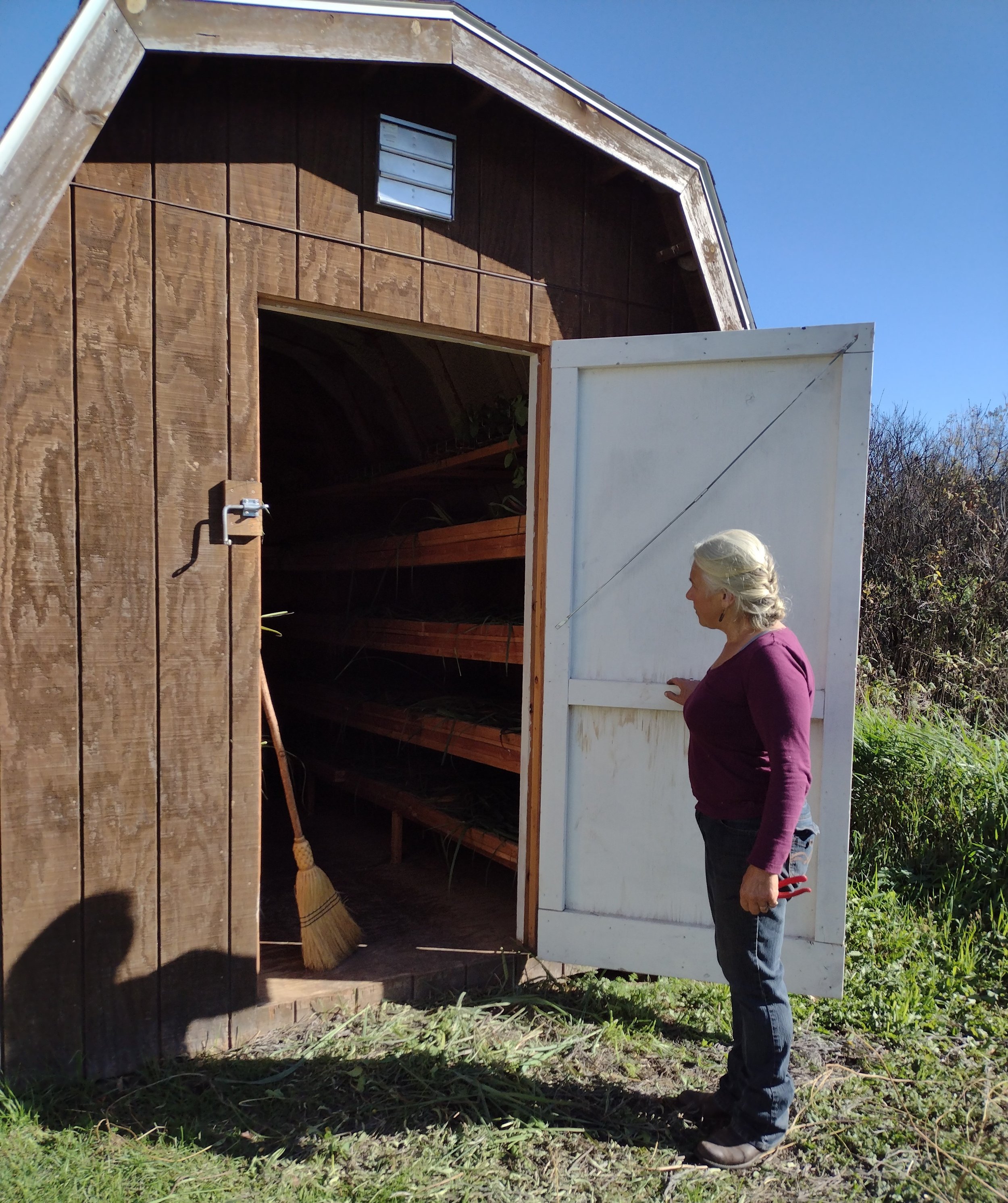  Jane shows her atmosphere controlled drying shed 