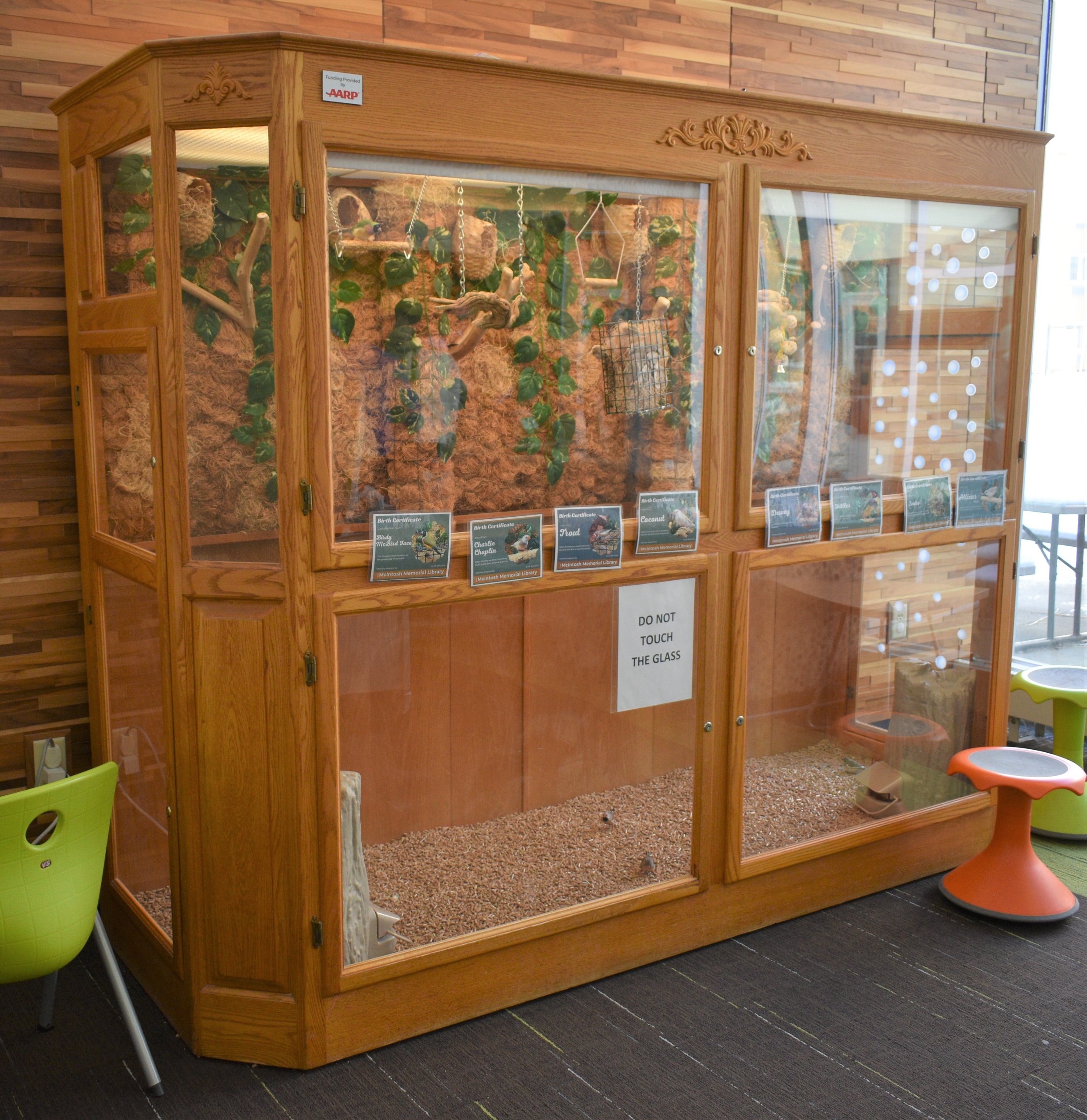  The new library aviary made possible in part by AARP. 