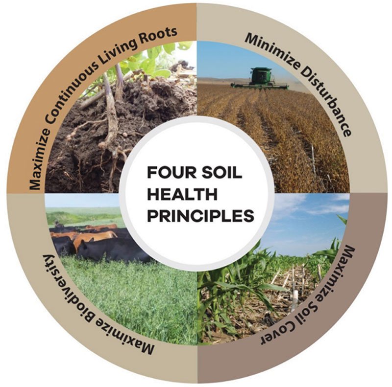 four soil health principles.jpg