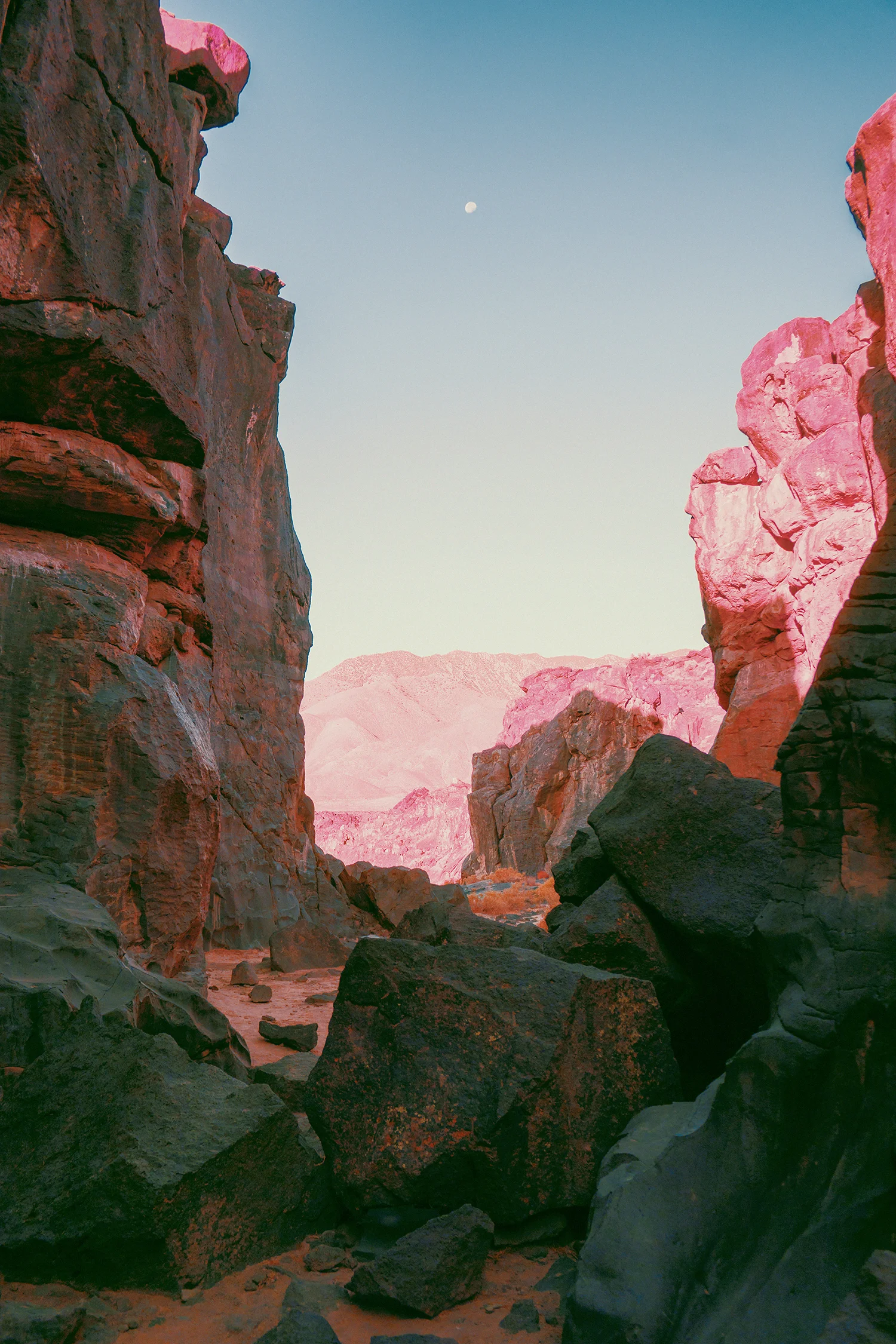 5 - Bonobo - Neil Krug.jpg