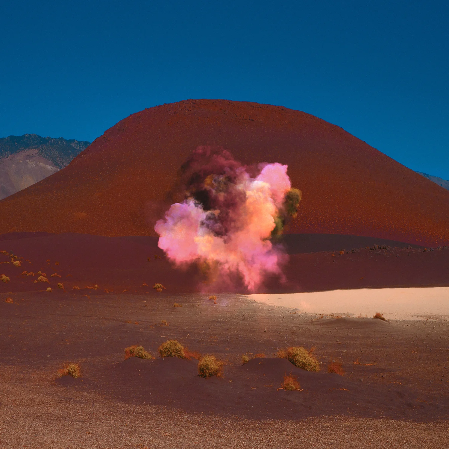 2 - Bonobo - Neil Krug.jpg