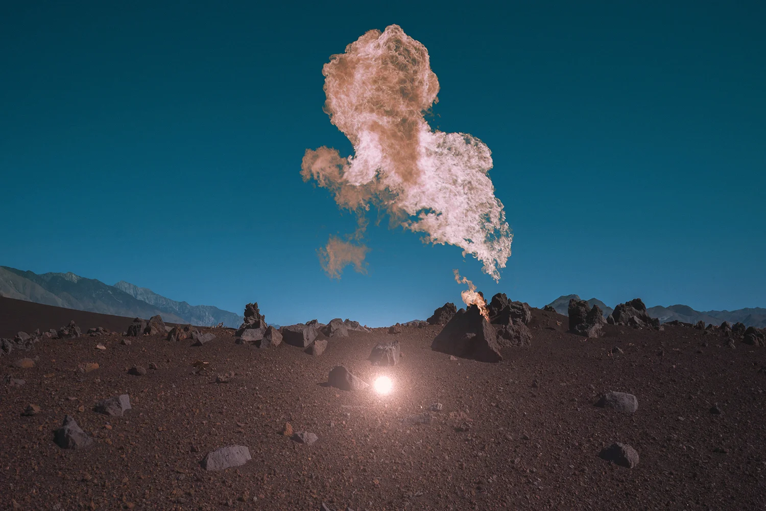 8 - Bonobo - Neil Krug.jpg