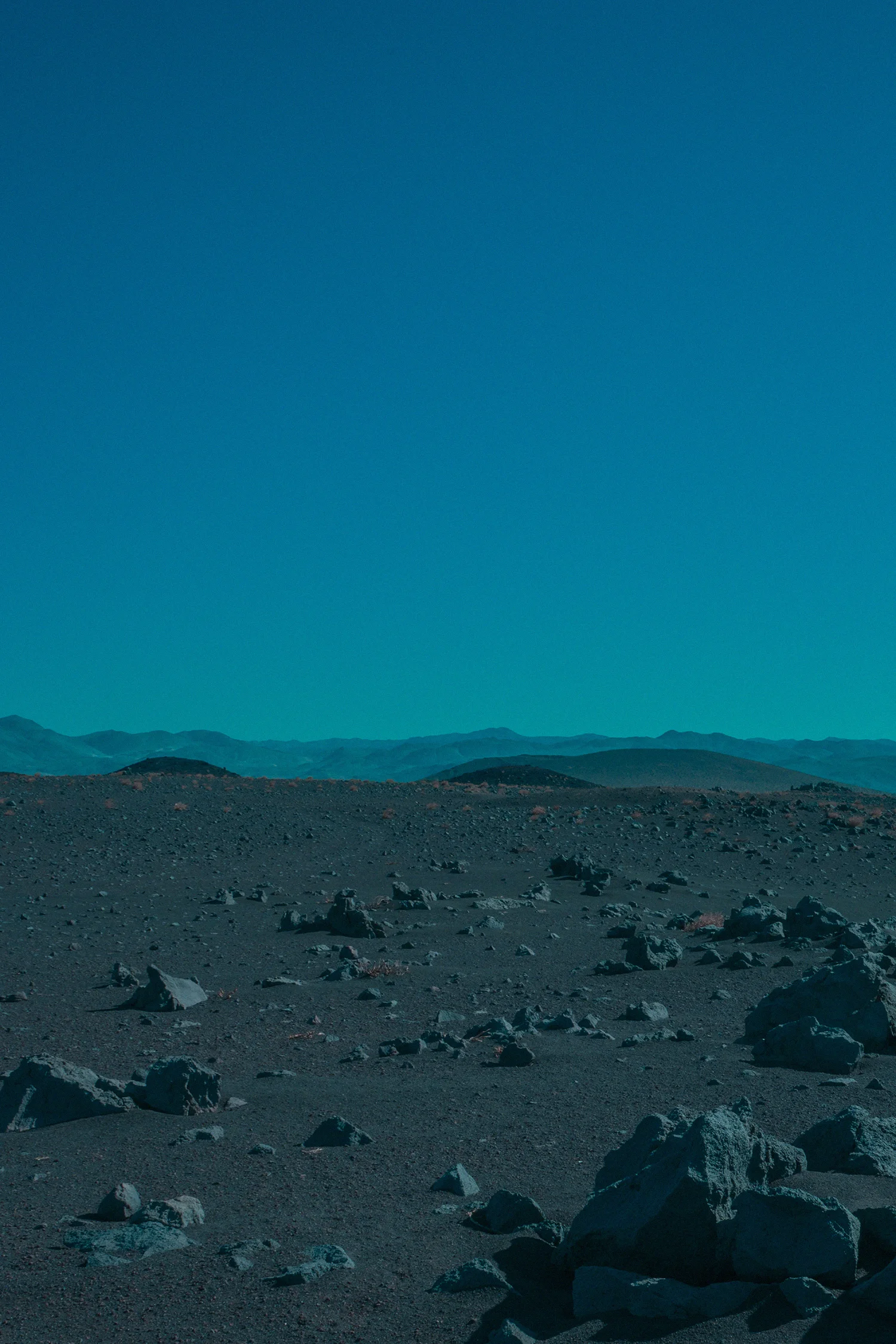 7 - Bonobo - Neil Krug.jpg
