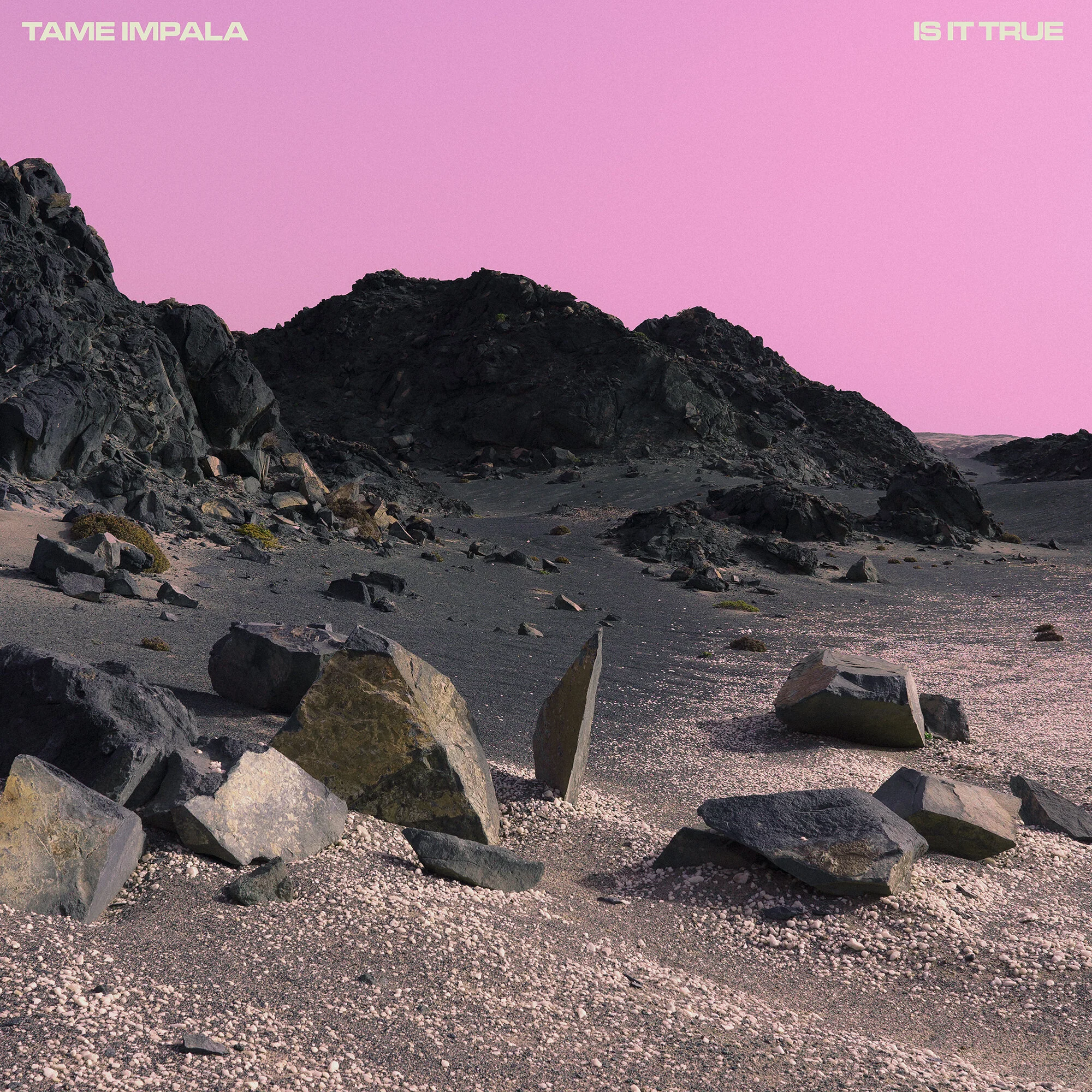 Tame Impala - Is It True - Neil Krug.jpg