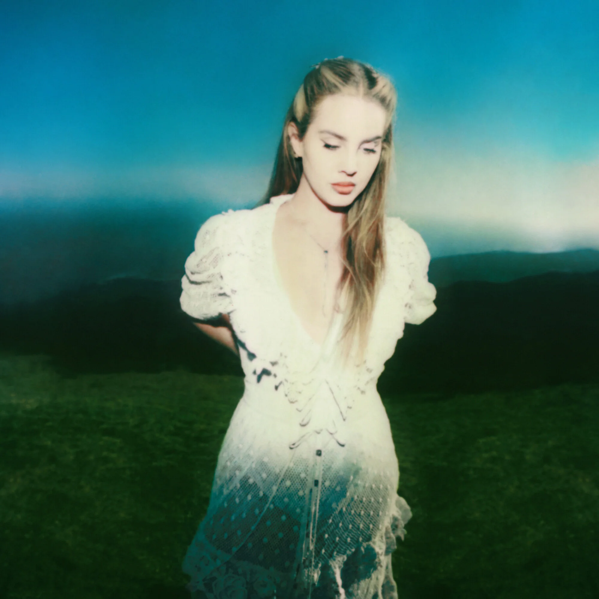 3 - LDR - Neil Krug.jpg