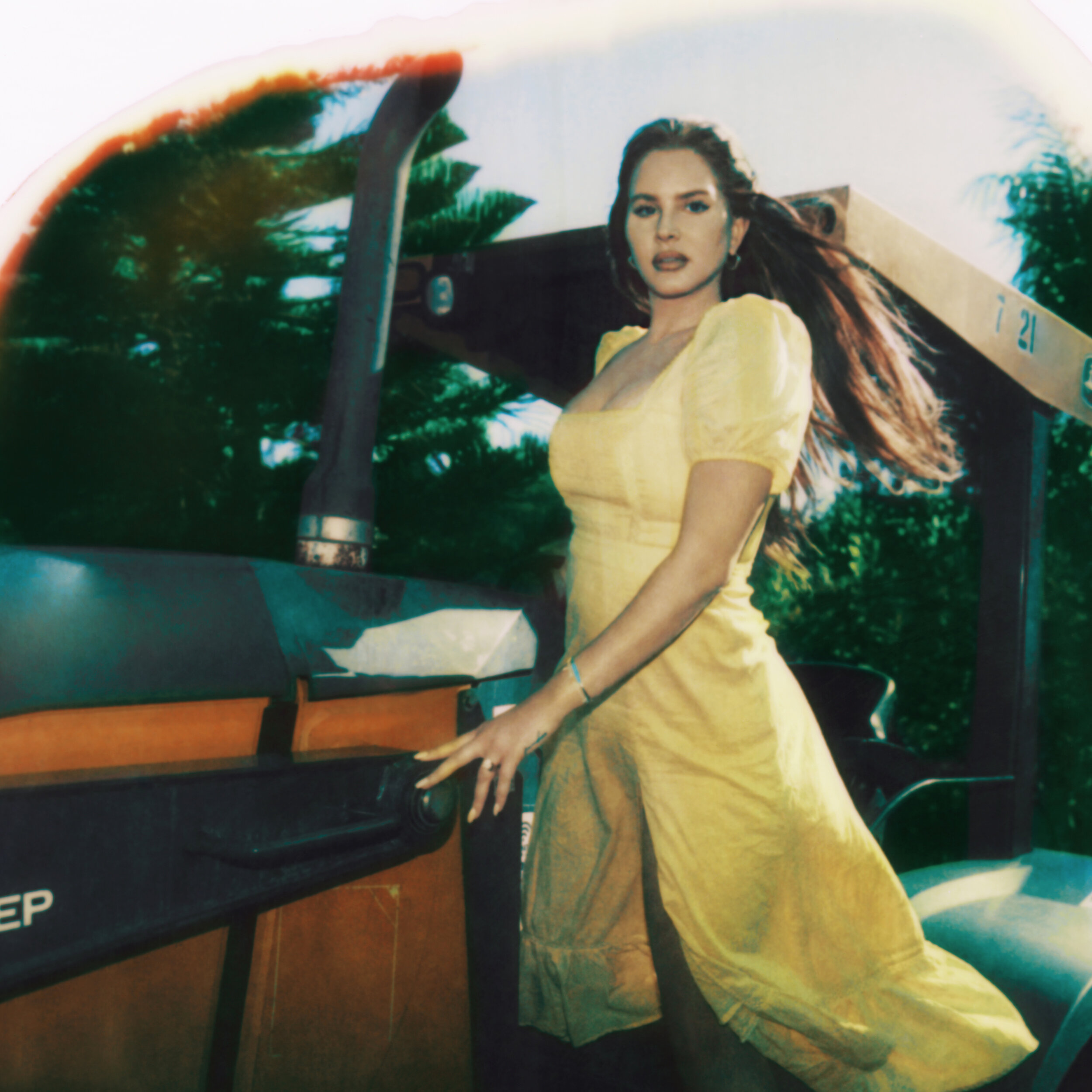 Lana+Del+Rey+-+Blue+Banisters+-+Cover+II
