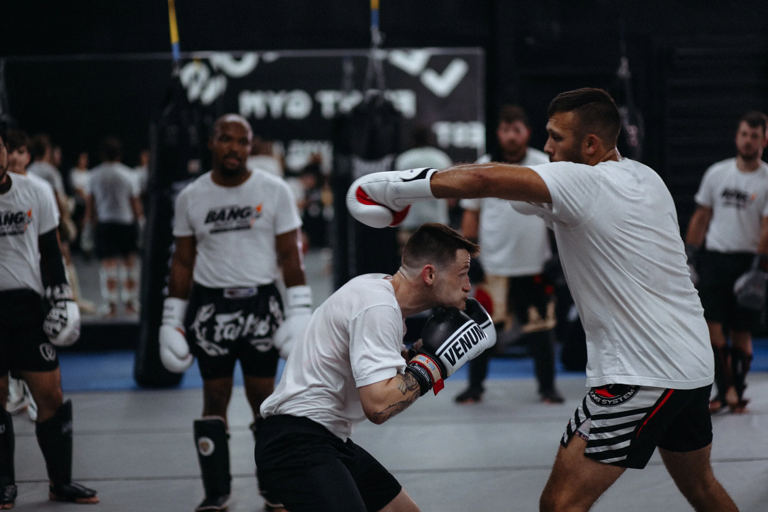 The Fight Lab by Lee Bros