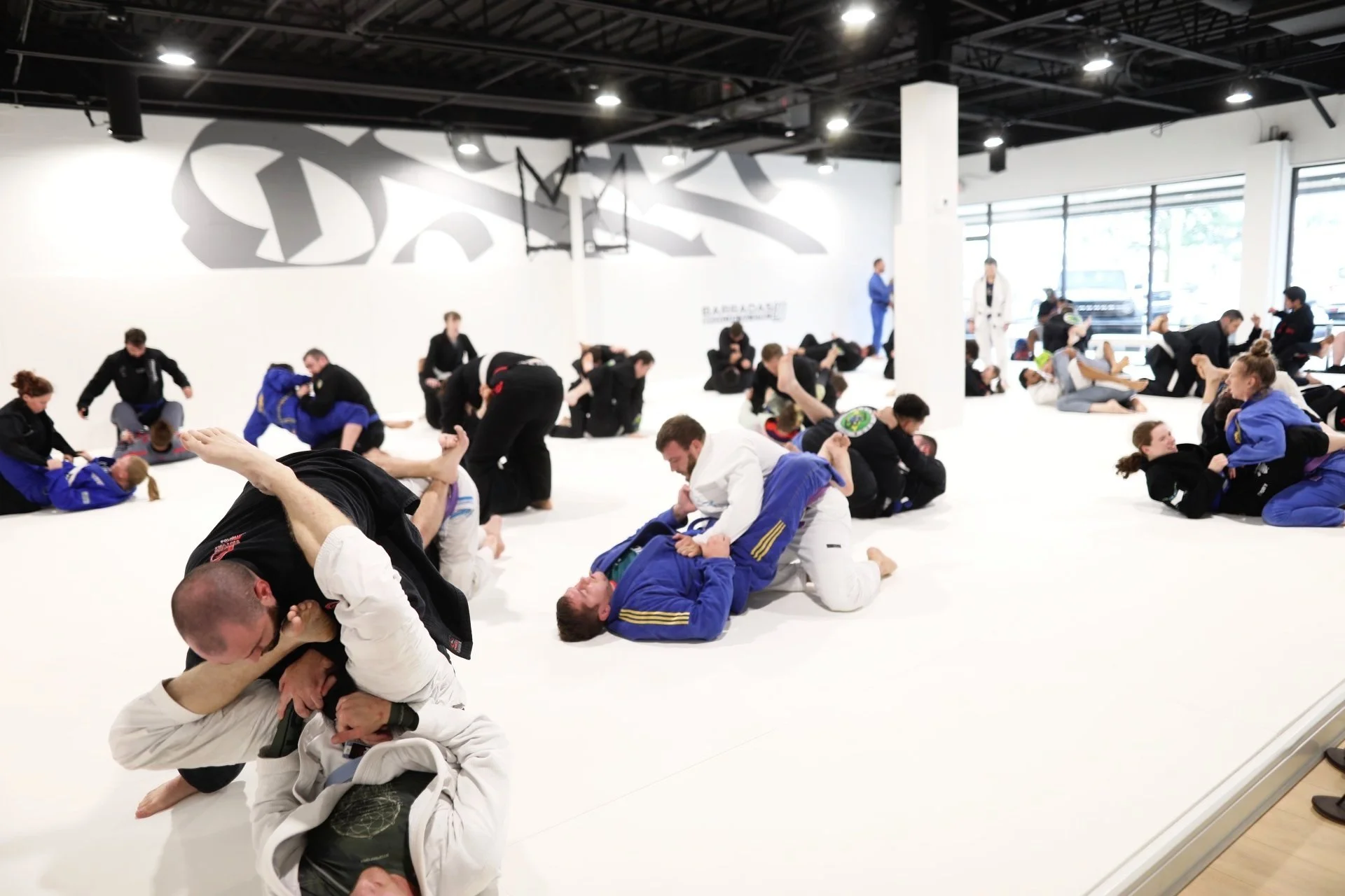 The Fight Lab by Lee Bros
