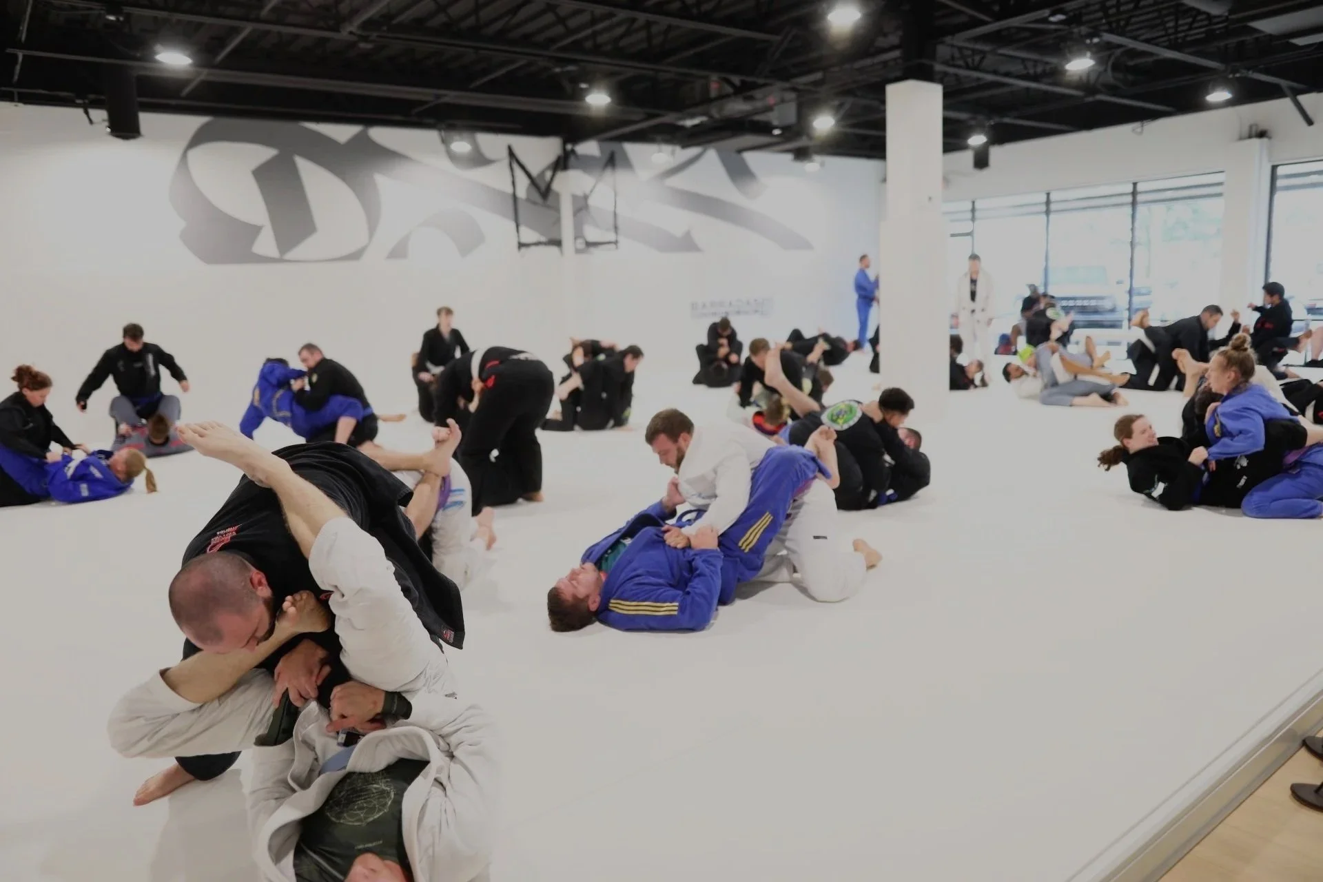 The Fight Lab by Lee Bros