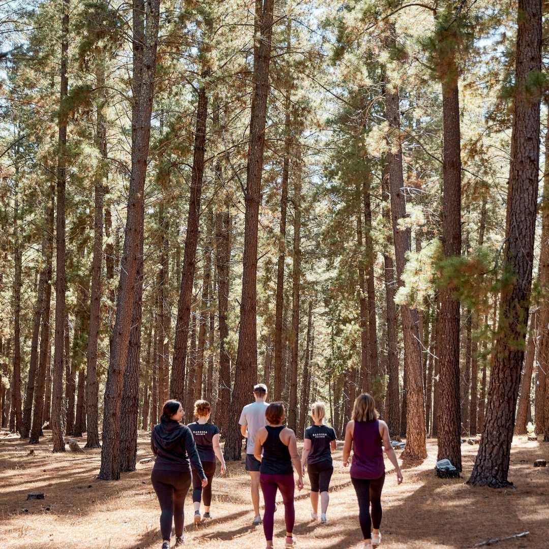 🌿 We love the Seasonal Shifts

As we are coming into the cooler season now is the perfect time to explore the natural beauty of Mount Crawford Forest. 🍂🥾 It's one of our favourite spots for a rejuvenating walk or a peaceful hike.

 #mybarossa #see