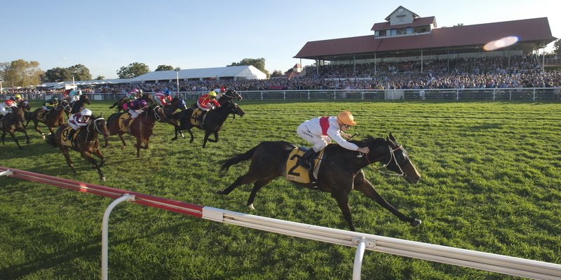 Wagga Wagga Gold Cup