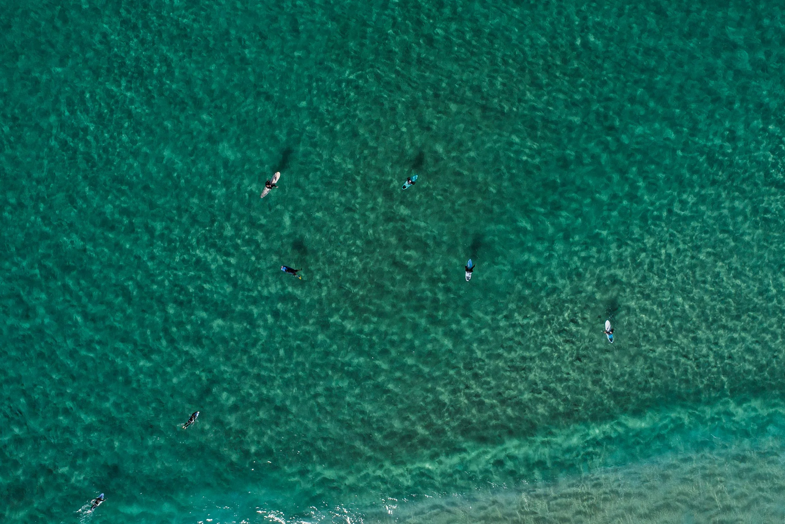Surfers Top Down