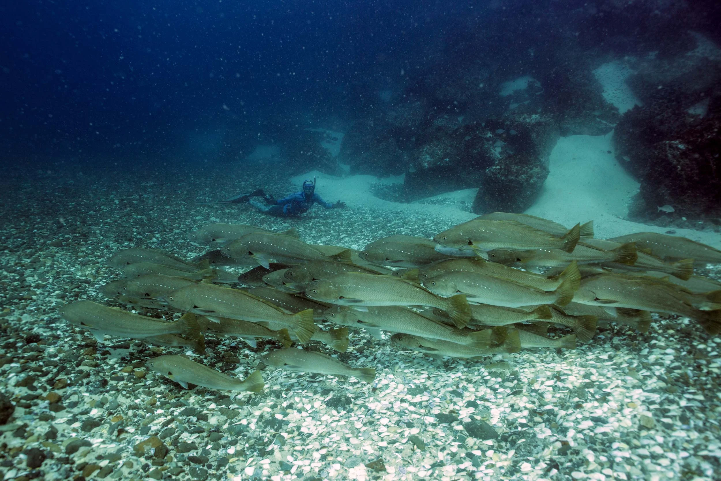 Diamond In The Rough