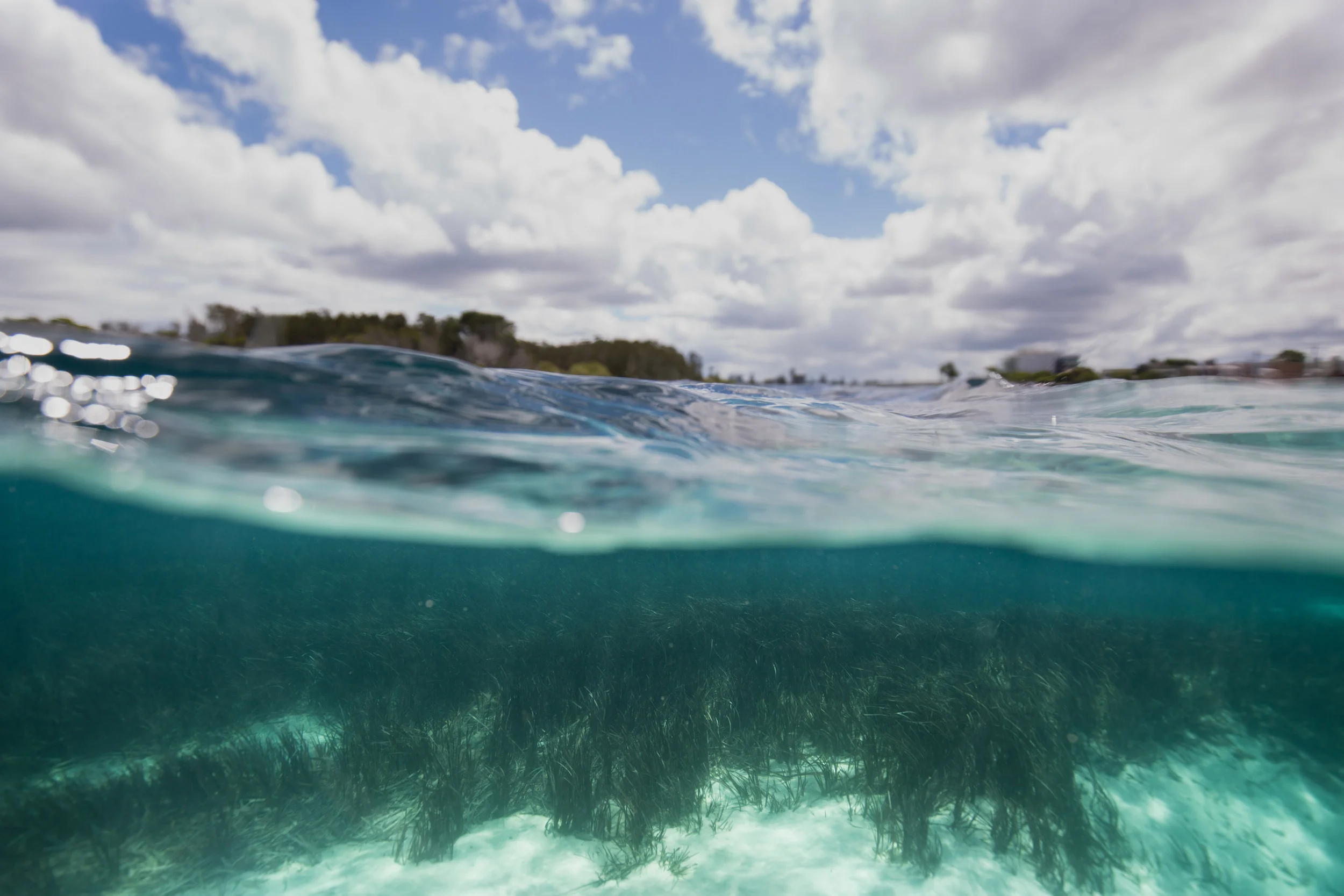 Seabed
