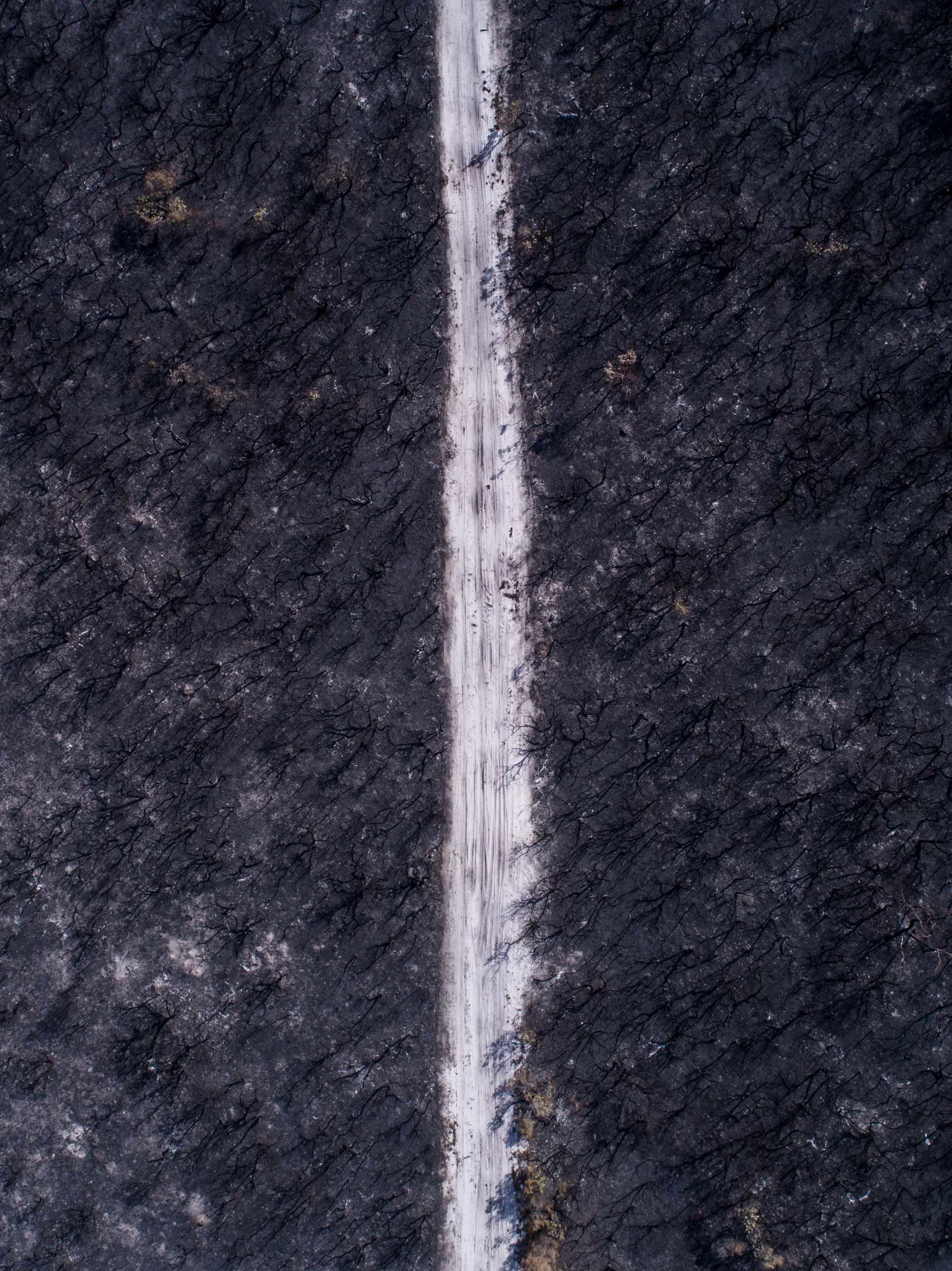 Bushfire at Tuncurry Golf Course 1