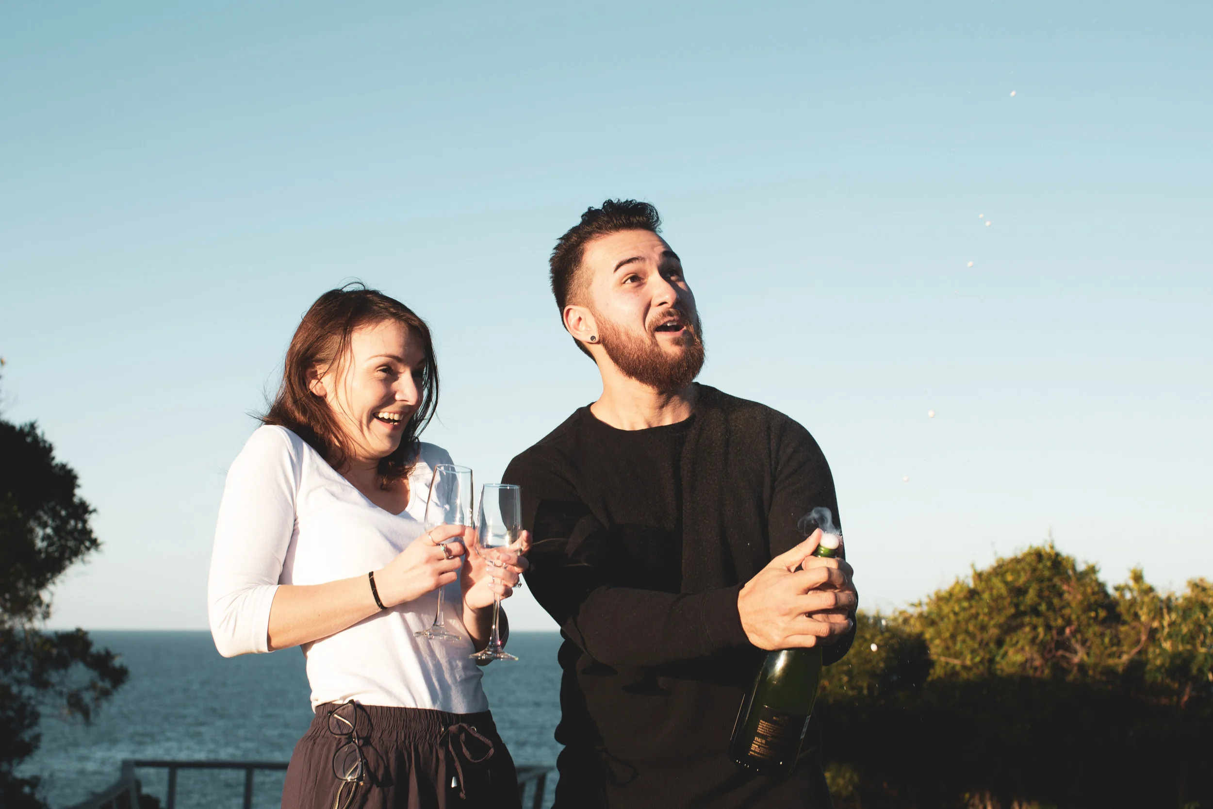 Surprise Engagement 2