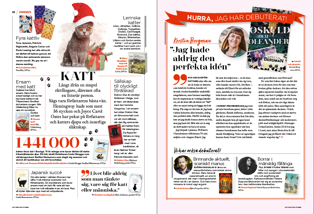 Skärmavbild 2020-12-10 kl. 14.46.14.png