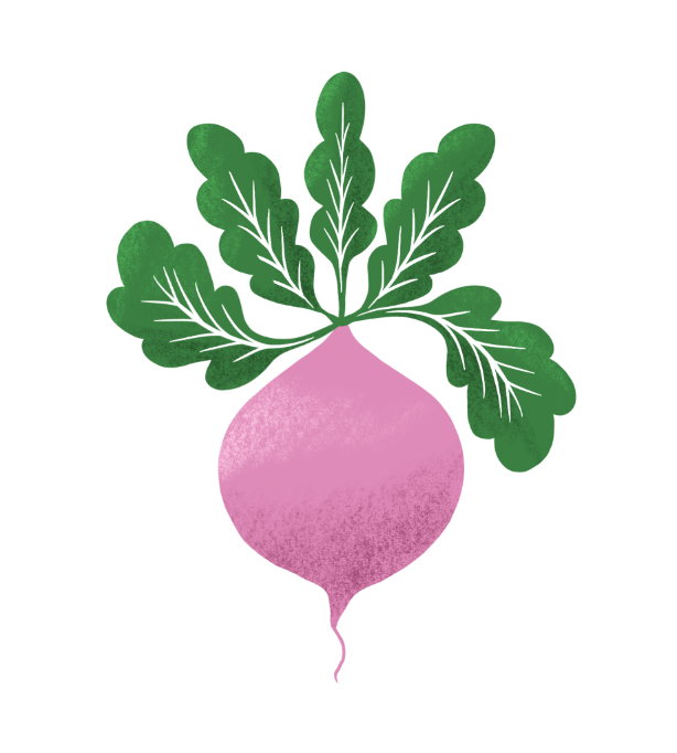 Capture d'écran 2026-04-09 111127.png