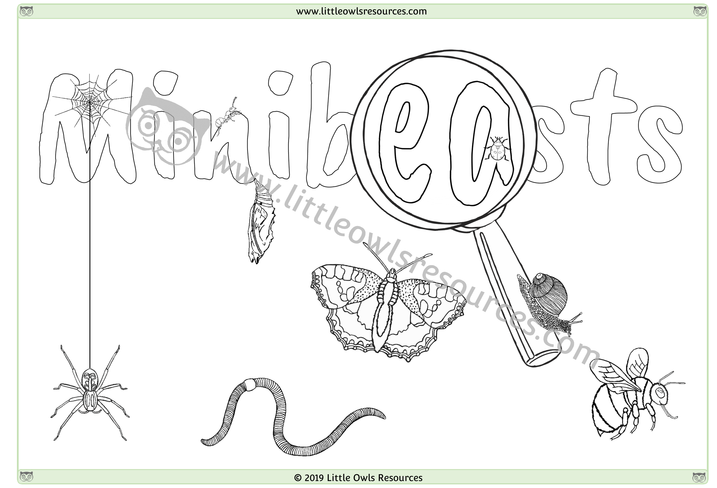 Minibeasts