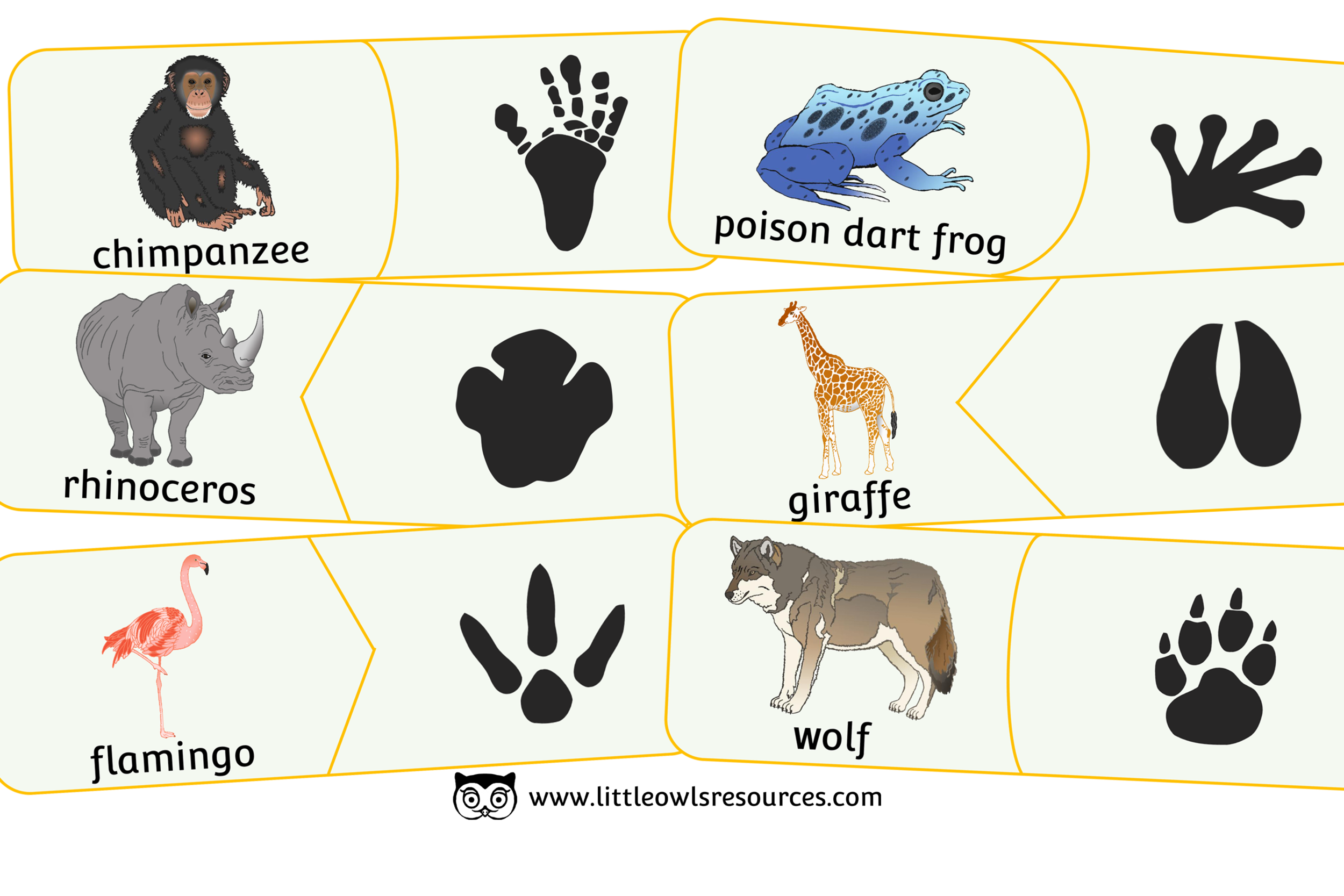 Zoo Footprint Match Puzzle Cover.png