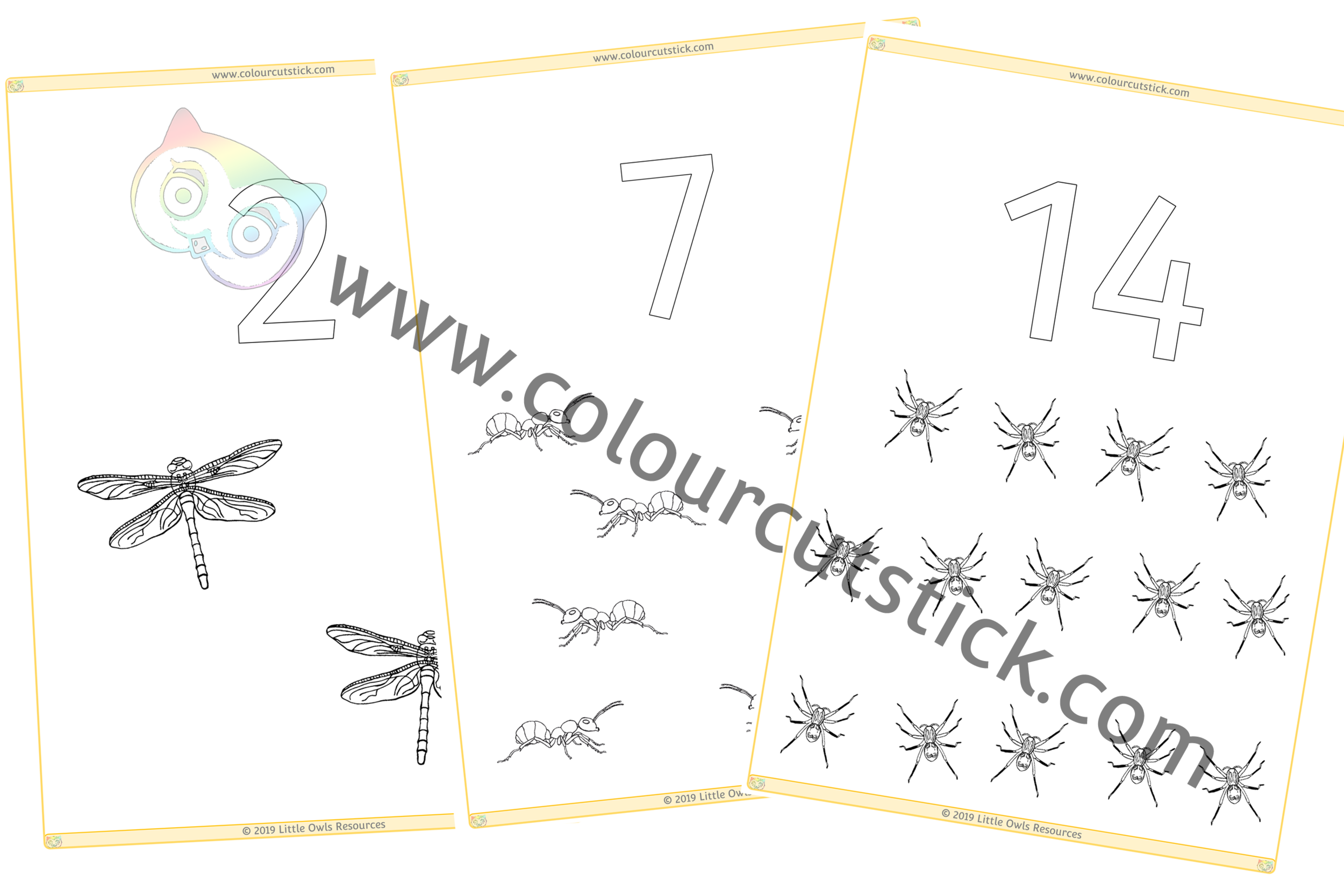 Minibeasts - Colour & Count