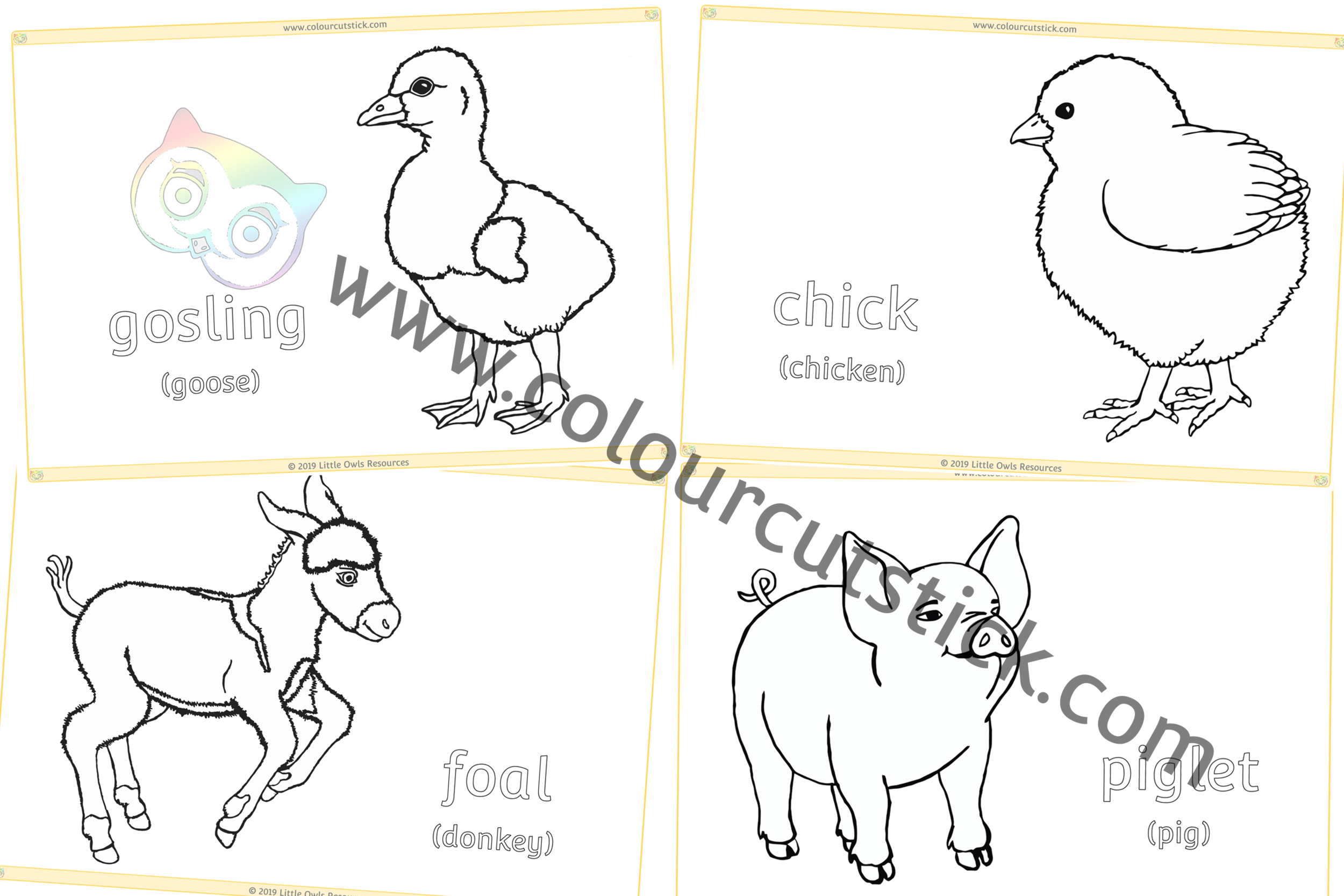 Young Farm Animals Colouring Cover CCS.png