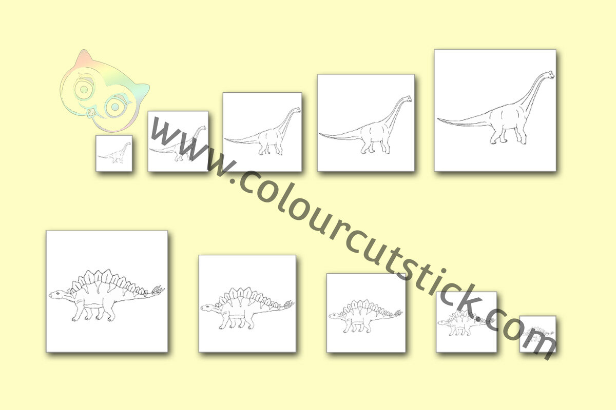 Dinosaur Size Ordering Cards Colouring PACK