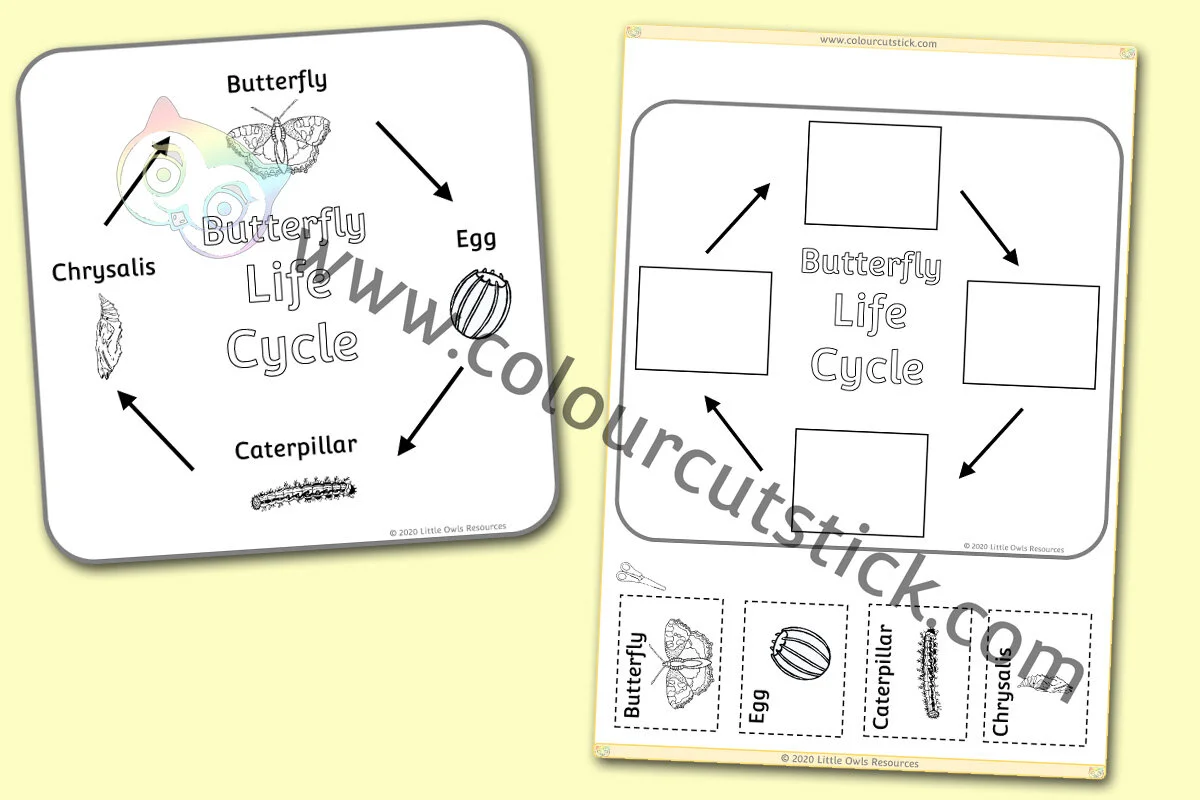 Free Life Cycles Colouring Coloring Pages Posters Cutting Sticking Colour Cut Stick Free Colouring Activities