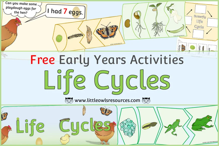 FREE Chicken Life Cycle Colouring/Coloring Poster and Colour, Cut