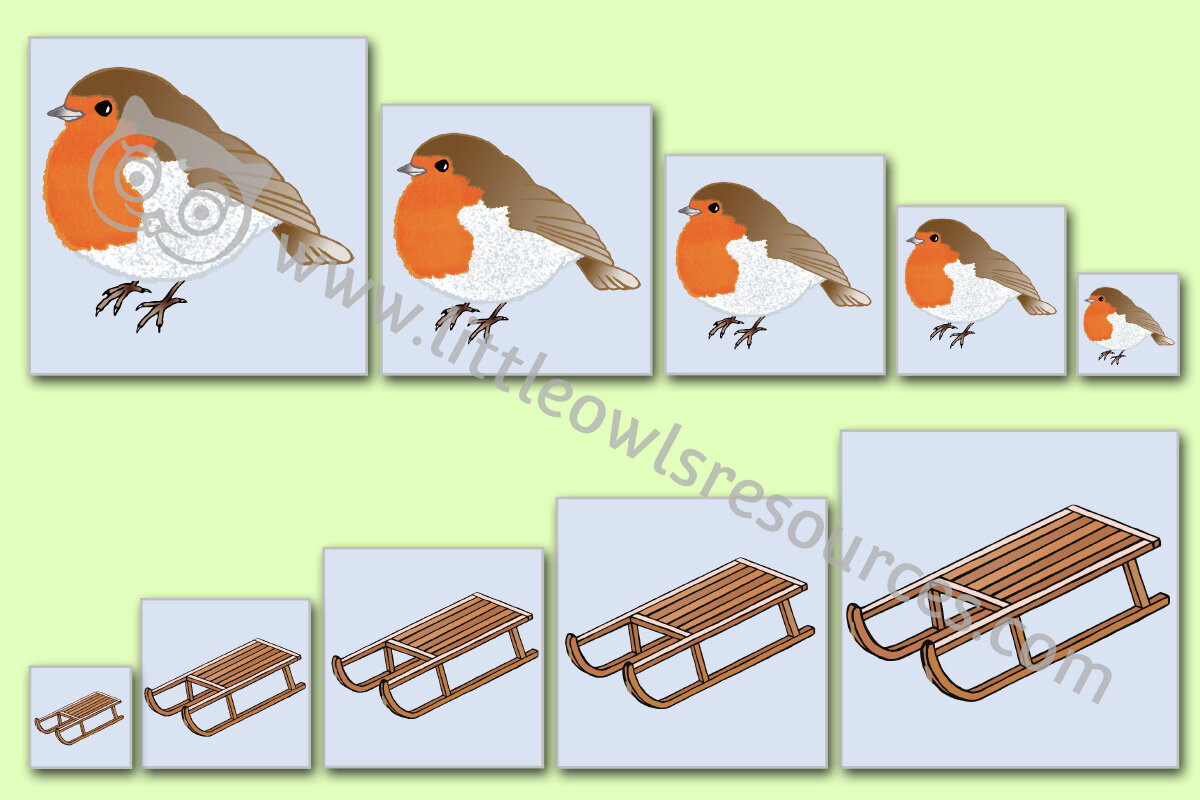 Winter Size Ordering Cover.jpg