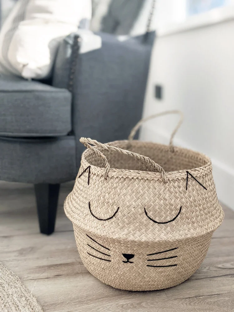 cat storage basket