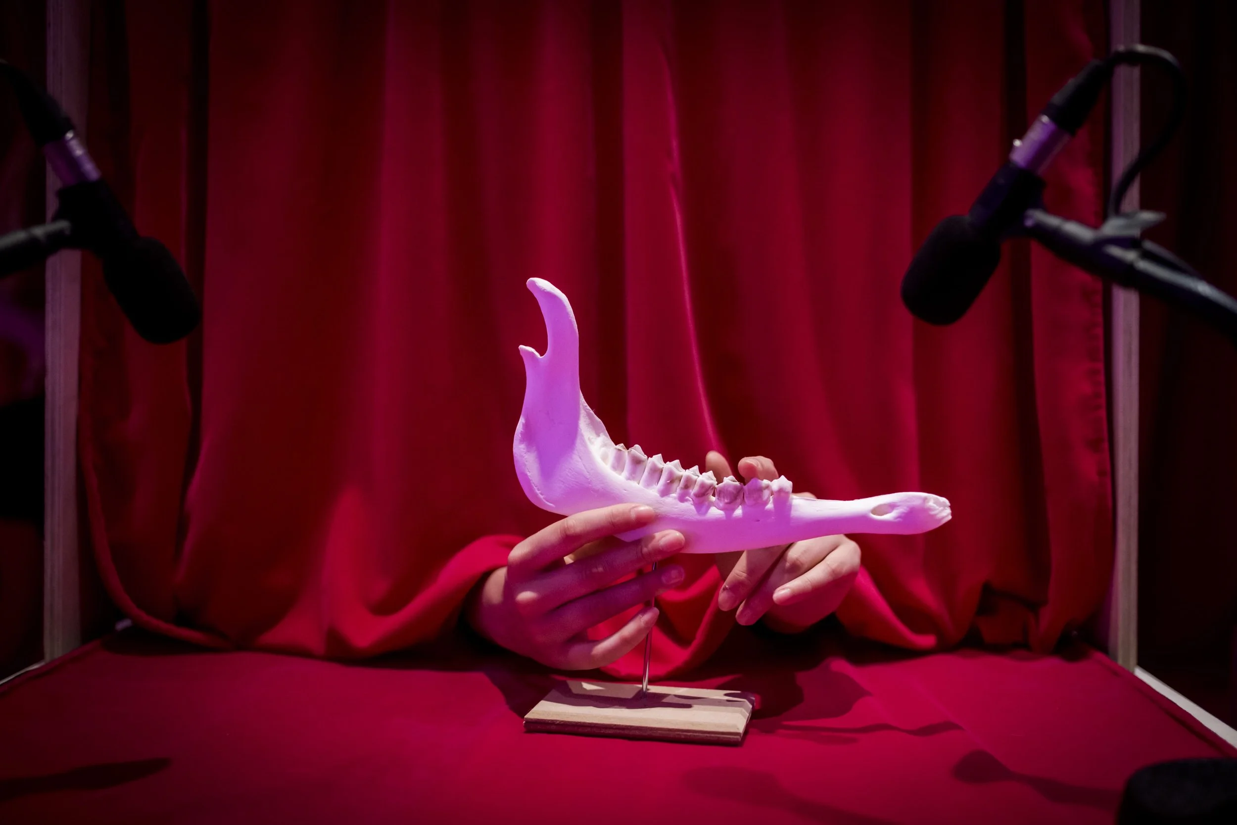 SLEIGHT OF HAND_MAYFEST 2024-9 (1).JPG