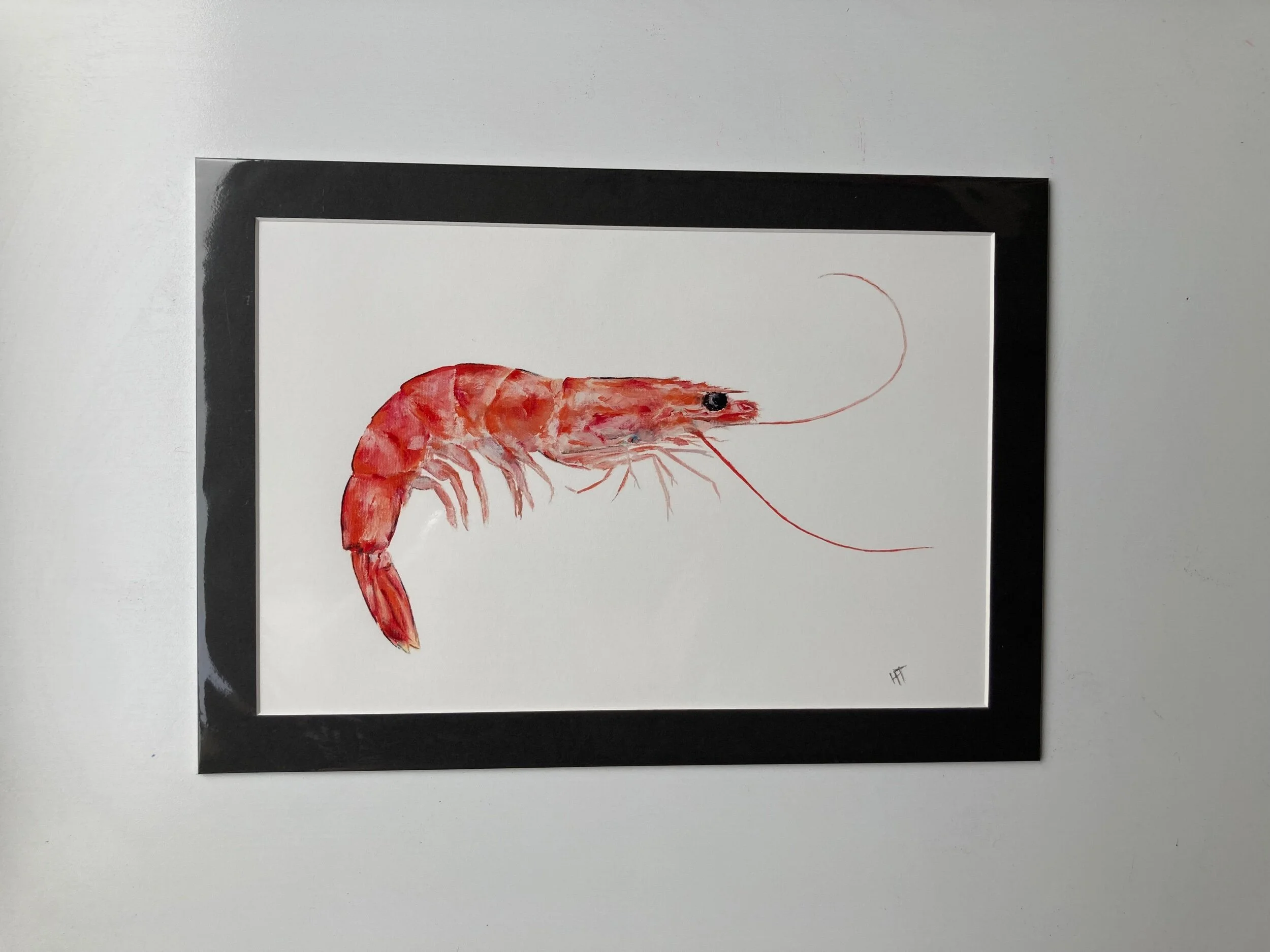 A5848CDB-CF21-4E5A-9C59-F096994529BB