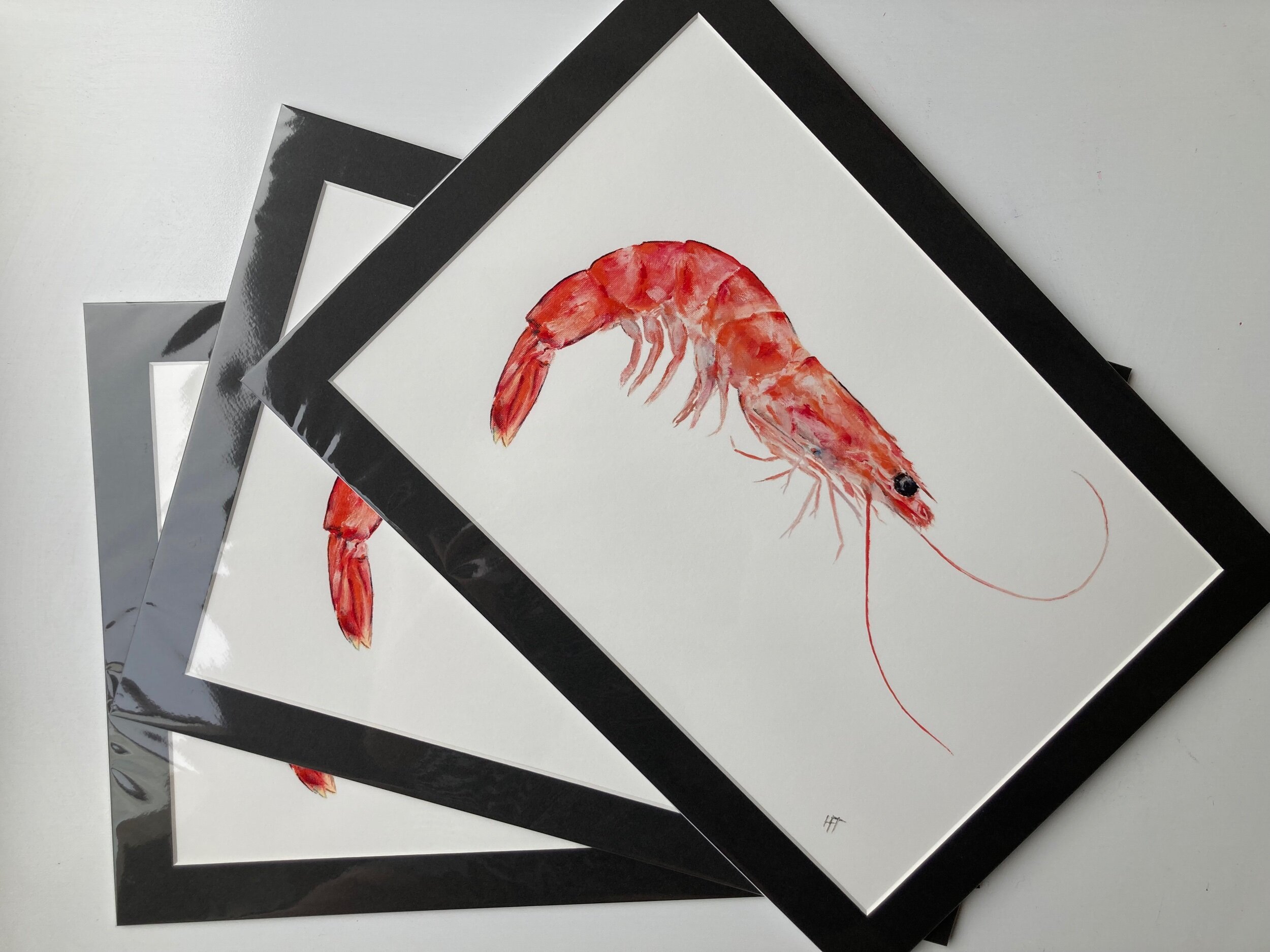 67F85730-01C7-4332-A89A-A6051588591B