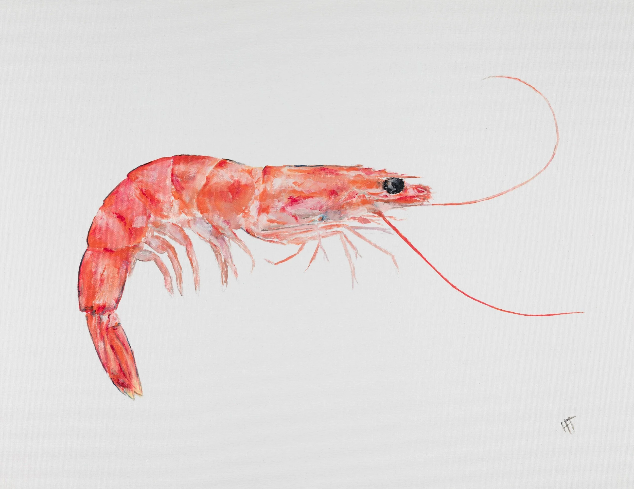 4495B7B9-E6EF-41E1-911B-44FE9CC5F95A