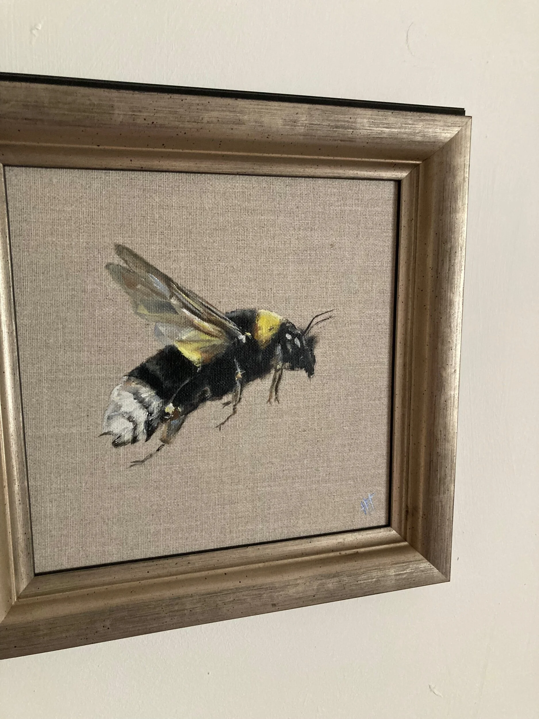 FC0D16A6-326A-41CE-B1F7-05F398B9B34B