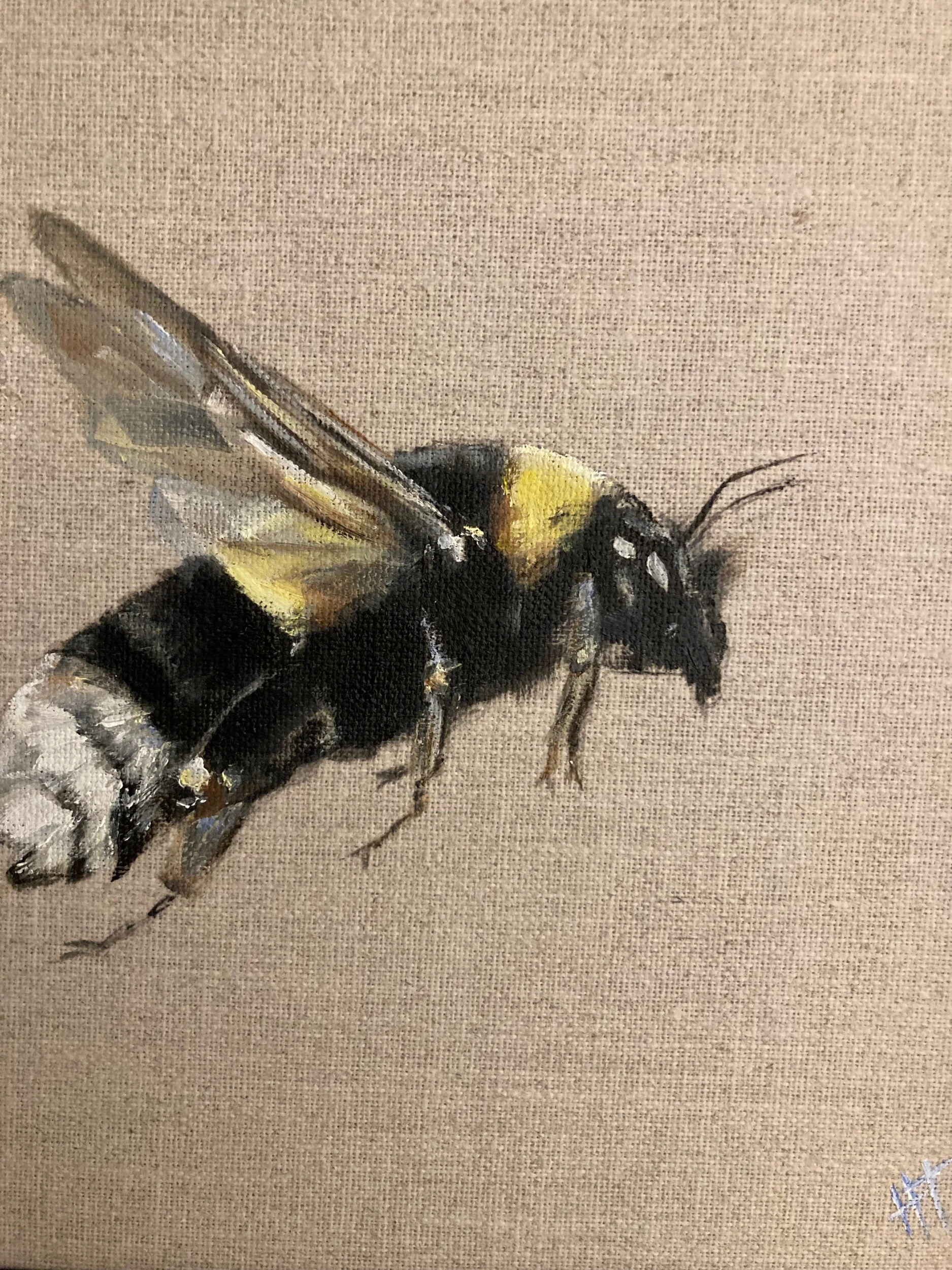 E931C603-9A2A-4A08-9FAA-4B1C3C49ACE7