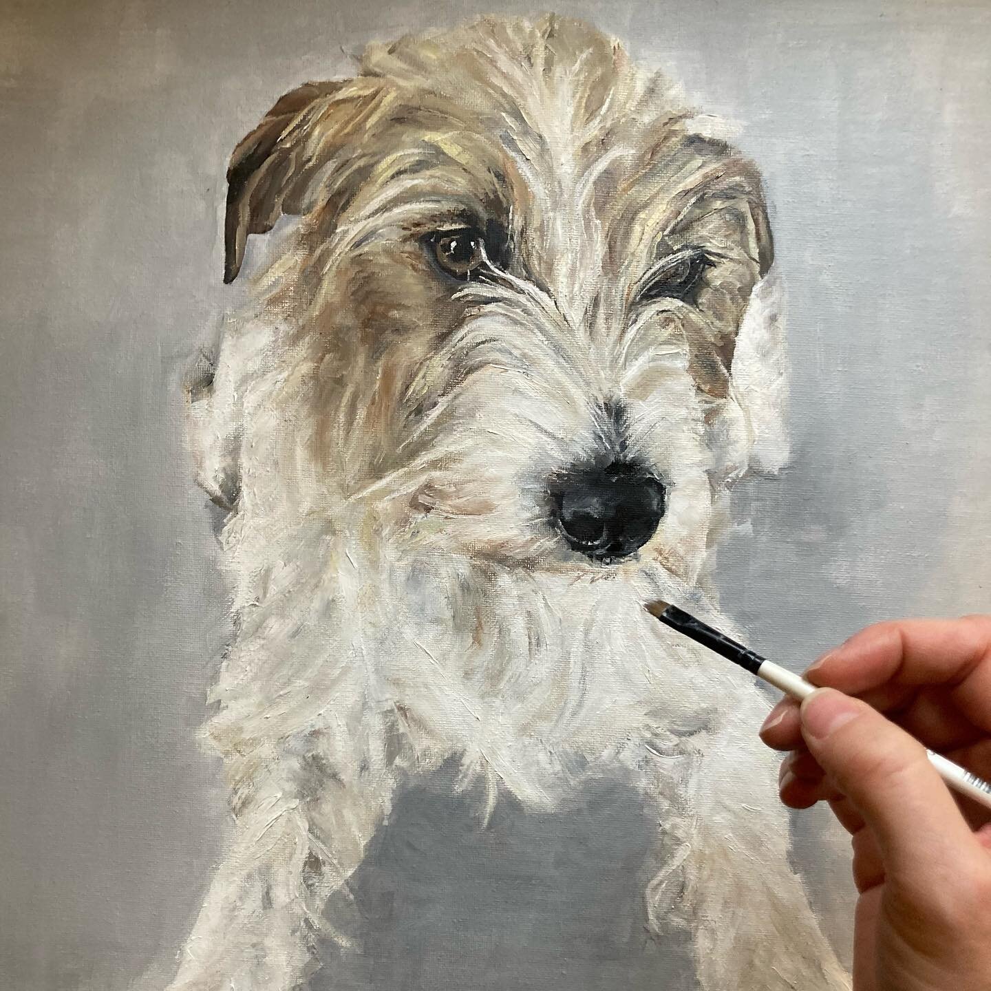 Back to the calmness of the studio! I have snuck in an hour between feeds and nappy / outfit changes to try and finish this commission of gorgeous Maggie&hellip; 

#commission #petportrait #animalart #painting #artist #artistsoninstagram #oilpainting