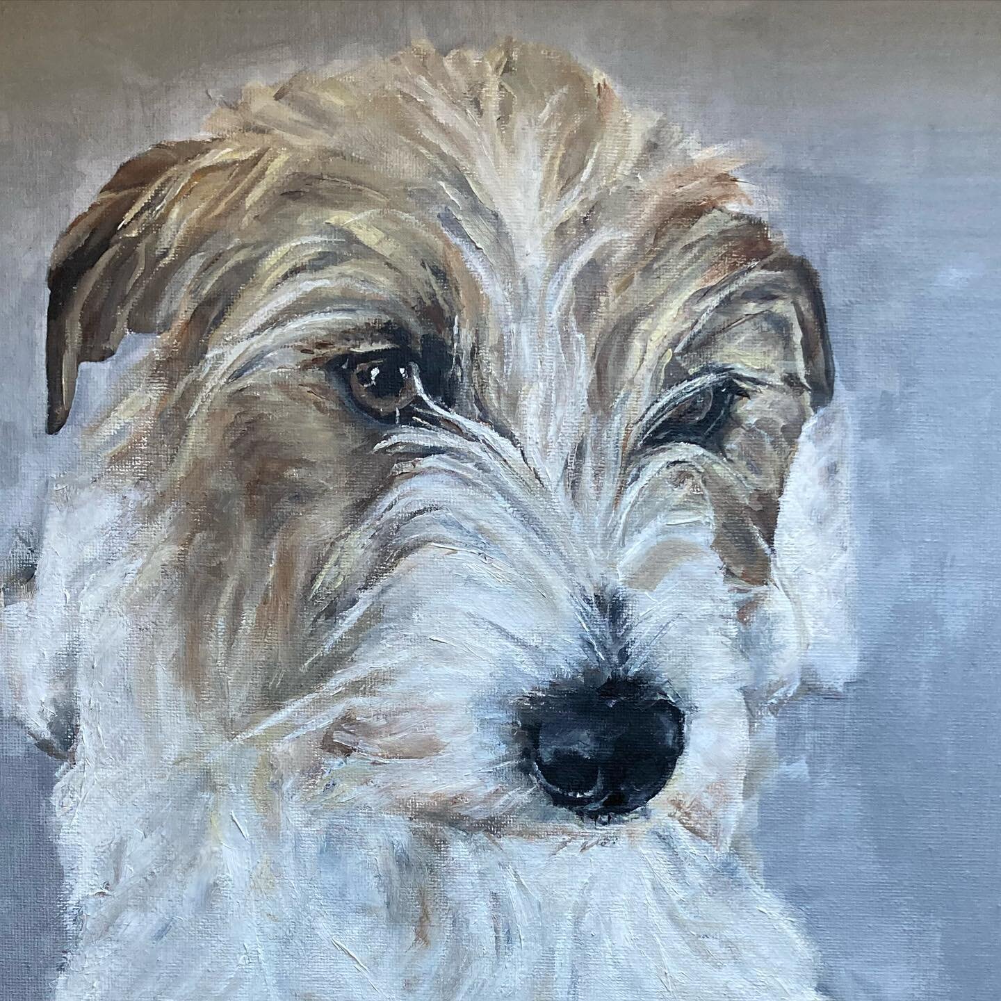 Patch&rsquo;s early arrival meant that I didn&rsquo;t quite manage to finish Maggie&rsquo;s painting before he arrived but it&rsquo;s now done and ready for the framers, pwew! I adore a scruffy terrier. Scroll ➡️ to see the full picture&hellip;

http