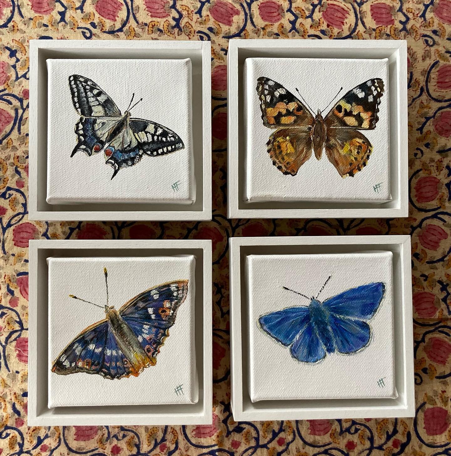The wonder of the world, the beauty and the power, the shapes of things,
their colours, lights and shades; these I saw. Look ye also while life lasts&hellip; 

These British butterfly miniatures are back from @levertonframers and ready for their flig