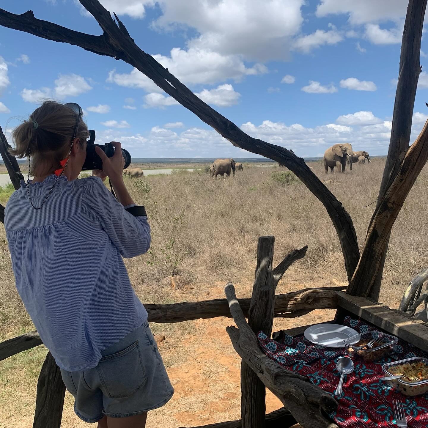 Without doubt the best holiday we have had as a family of four (Fuerteventura was a close second, 😱!). I am sorry for the radio silence but a very belated happy new year to you all. We have made the move to Kenya and my easel has finally arrived so 