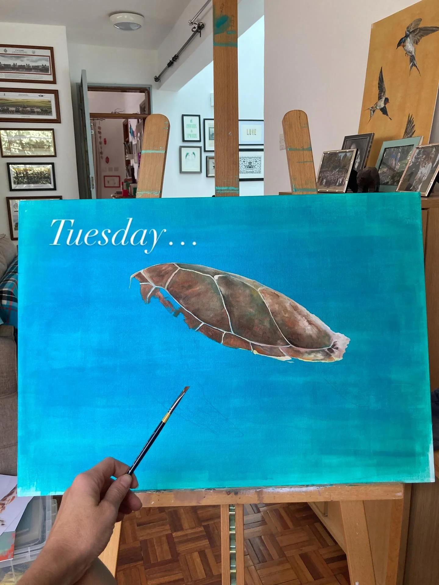 Up on the easel at the moment is a large turquoise turtle, inspired by some incredible snorkelling and scuba diving off the Kenyan coast recently. Here are some stills of how it has all come together&hellip; as you can see some of my days are more pr