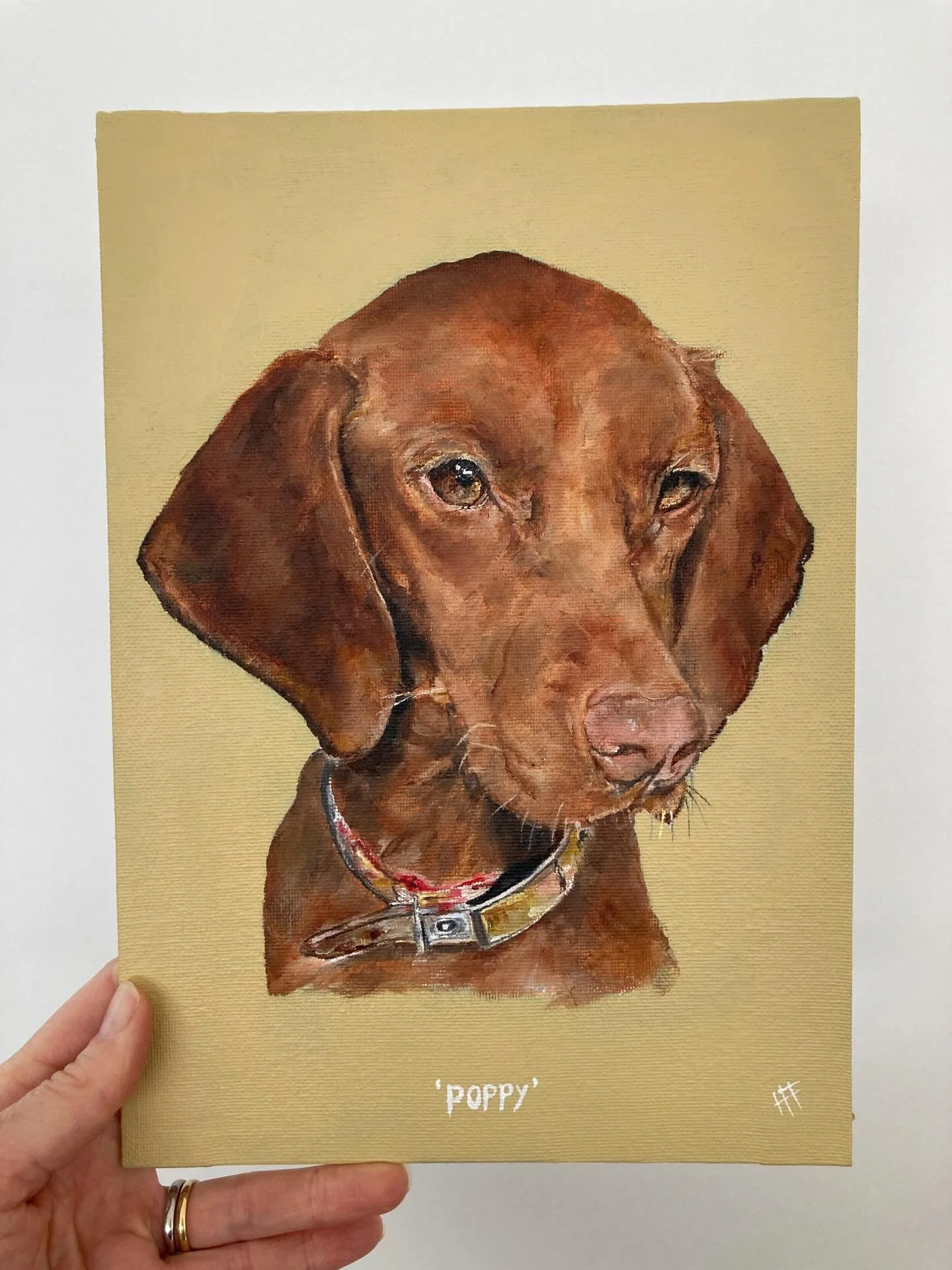 Beautiful Poppy! I love a vizsla and this is one recent commission that I can show you as the rest are Christmas surprises. 

&lsquo;It&rsquo;s absolutely beautiful. We love it so so much&hellip; thank you!&rsquo; - Nicola

It&rsquo;s the feedback fr