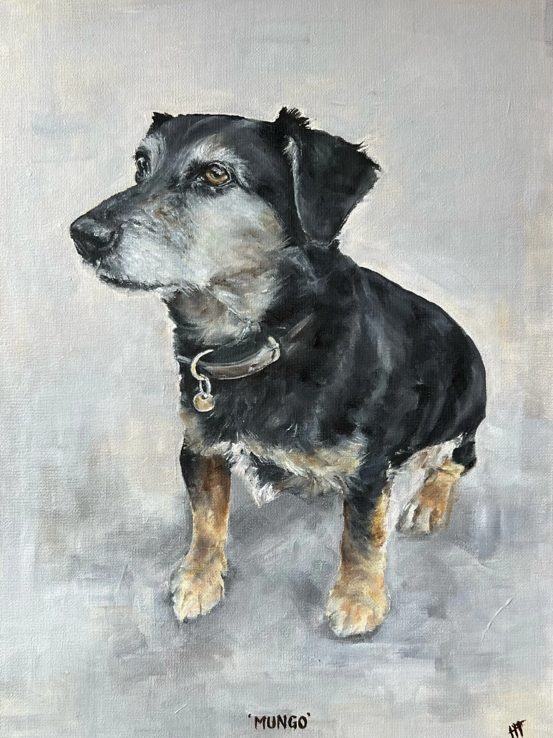 Do I paint dog portraits in oil? Yes I do, and unapologetically! I love doing it, mostly because of the reaction they evoke when they&rsquo;re handed over. Mungo was my 122nd dog portrait and went down very well. Swipe ➡️ to see the photo I worked fr