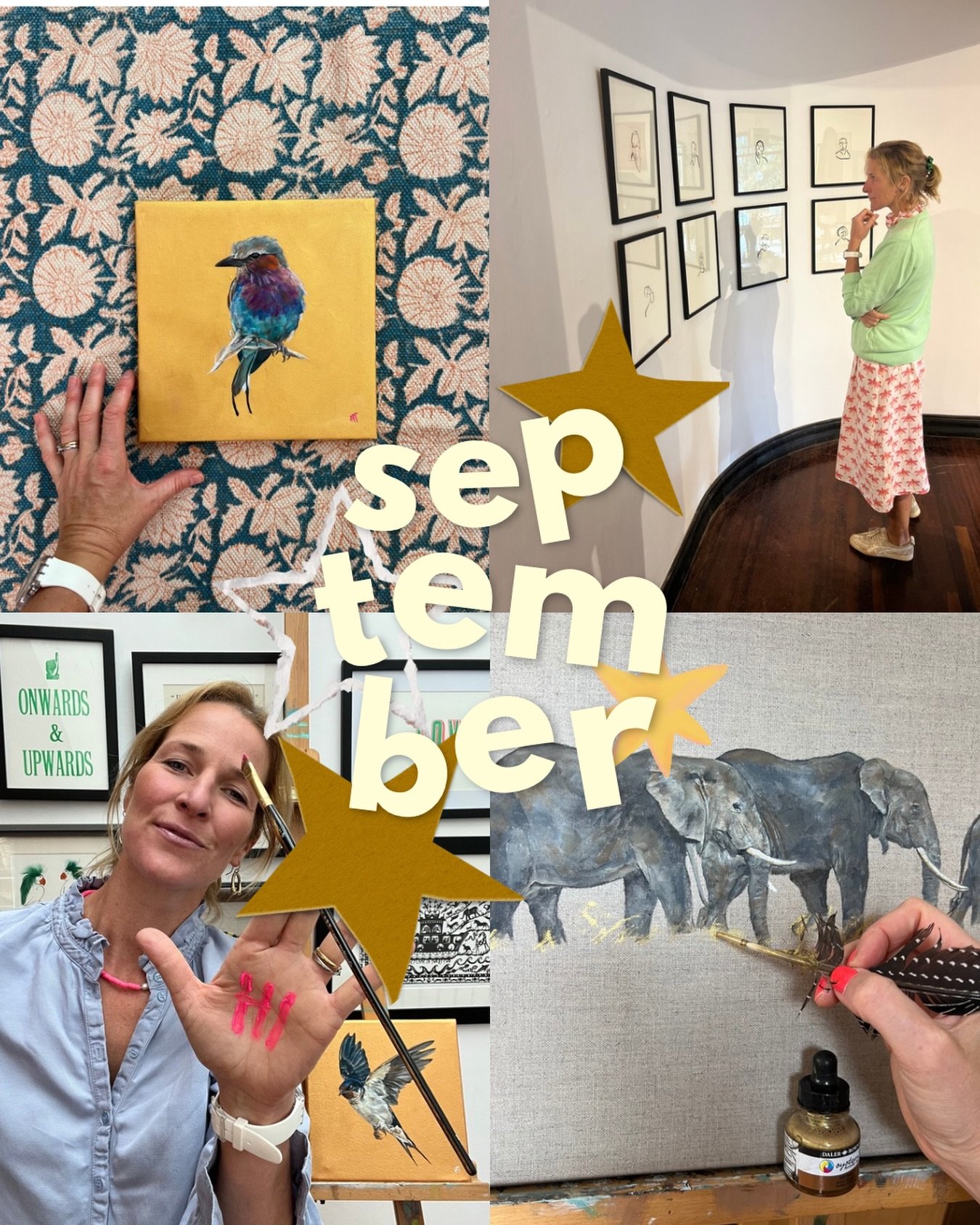 ⭐️ ⭐️ SEPTEMBER ROUND-UP ⭐️ ⭐️ 

I find it&rsquo;s good to reflect so you can then project. September was back to school and so back to the easel here. 

🎨 More golden swallows 
🎨 My first Lilac-breasted roller which sold within hours and brought i