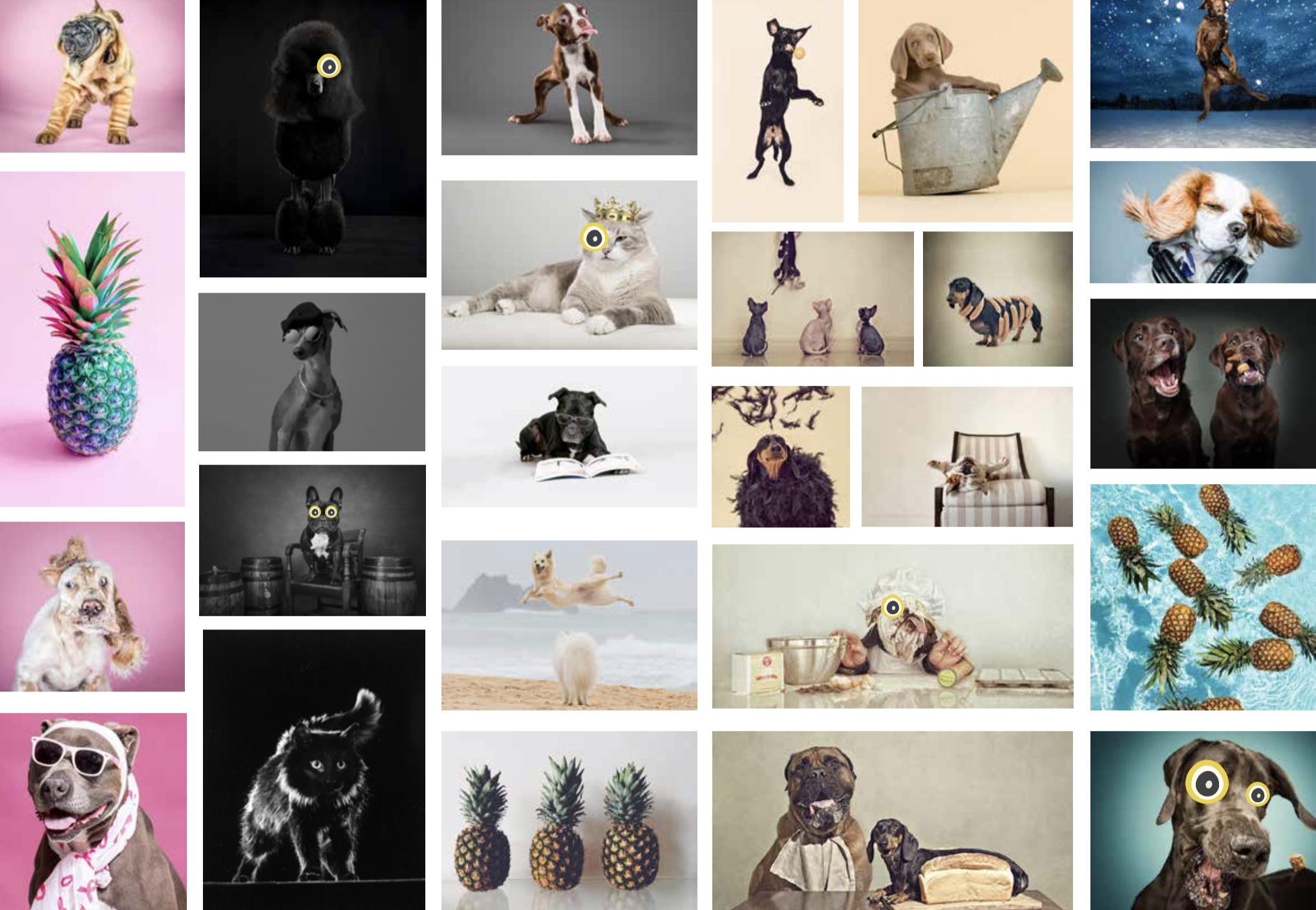 Screen Shot 2019-05-08 at 7.46.46 pm.png
