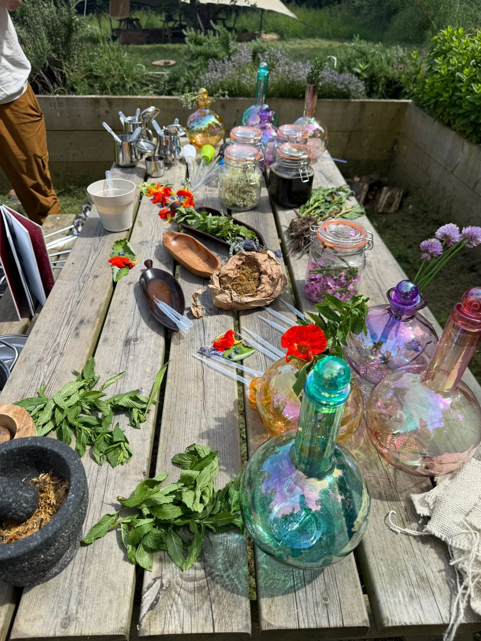 WhatsApp Image 2026-06-09 at 12.44.51 PM (2).jpeg